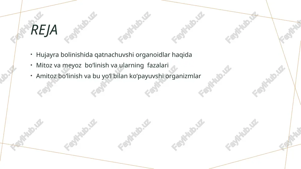 o'ynaydi, genetik materialning to'g'ri taqsimlanishini ta'minlaydi. 2 ta'sir mexanizmlari meyozda organoidlar, masalan, sentrozomalar, mikrotubul hosil qilib, xromosomalarni ajratishga yordam beradi, bu esa genetik xilma-xillikni oshiradi. 3 genetik xilma-xillik organoidlar meyoz jarayonida genetik xilma-xillikni ta'minlaydi, bu esa organizmlarning moslashuvchanligini va evolyutsion rivojlanishini oshiradi. amitozda qatnashuvchi organoidlar va ularning xususiyatlari. 01 amitoz jarayoni amitoz, hujayralarning oddiy bo'linish turi bo'lib, asosan ba'zi organizmlarda uchraydi. bu jarayonda, hujayra to'liq bo'linmasdan, to'g'ridan-to'g'ri ikkiga bo'linadi. 02 organoidlar roli amitoz jarayonida organoidlar, masalan, sitoplazma va yadro organoidlari, hujayra bo'linishida muhim rol o'ynaydi, hujayra tarkibini ta'minlaydi. 03 xususiyatlar amitozda hujayra qismlari teng bo'lmagan holda taqsimlanadi, bu esa genetik xilma-xillikni kamaytiradi va odatda oddiy organizmlarda ko'proq kuzatiladi. hujayra bo'linishida organoidlar: o'zaro bog'liqlik va muhimlik. 1 organoidlar va roli - hujayra bo'linishida organoidlar, masalan, mitoz va meyoz jarayonlarida, genetik materialning taqsimlanishida muhim rol o'ynaydi. 2 o'zaro bog'liqlik - organoidlar va hujayra bo'linishi o'rtasidagi bog'liqlik, hujayra sikli va genetik xilma-xillikni ta'minlashda …