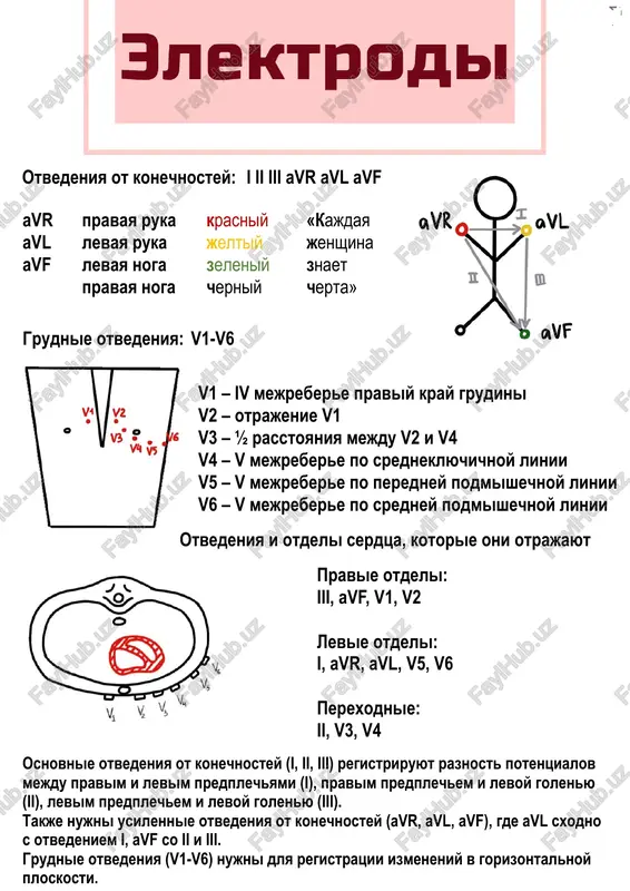 - depressiya segmenta st gipertrofiya pj - eos otklonena vpravo - r v1/v2 + s v5/v6 ⩾ 10,5mm - r v1 ⩾ 7mm - depressiya segmenta st prichini: mitralnaya nedostatochnost, poroki aortalnogo klapana, ag prichini: xronicheskoe legochnoe serdtse, mitralniy stenoz, stenoz legochnoy arterii. in st ag ra m .co m /m ed st ag ra m _1 s v1/v2 v5/v6 r r v1/v2 s v5/v6 pblnpg smotrim na kompleks qrs v v5, v6 vozbujdenie ne idet po zablokirovannoy levoy nojke. v itoge vozbujdenie ot pj idet k zablokirovannomu lj cherez volokna purkine. rasprostranenie vozbujdeniya zamedlenno. - v otvedeniyax v5, v6 kompleks qrs rasshiren i deformirovan. - qrs ⩾ 0,12 c - depressiya segmenta st - v v1/v2 rasshirenniy i deformirovanniy zubets s. sinatrialniy uzel atrioventrikulyarniy uzel pravaya nojka puchka gisa levaya nojka puchka gisa pbpnpg smotrim na kompleks qrs v v1, v2 vozbujdenie v pj idet posle lj cherez volokna …