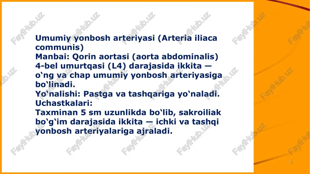 va vesikal venoz pleksus bilan bog'lanadi . • 2. bachadon venoz plexus , pleksus venoz uterin , bachadonning keng ligamentining qalinligida yotadi • 3. vaginal venoz pleksus , pleksus venoz vaginalis , • qinni o'rab oladi va qo'shni pleksuslar bilan bog'lanadi. 7 first up consultants tashqi yonbosh venasi va uning irmoqlari ( v. iliaca tashqaridan ) • femoral venaning davomi hisoblanadi . xuddi shu nomdagi arteriyaning orqasida va medial tomonida yotadi • irmoqlari: • 1. pastki epigastral vena ( v . epigastrica past ) • tarmoqlanish zonasiga mos keladi bir xil nomdagi arteriya o'xshash nomli anastomozlarga ega • pastki epigastral arteriyaning anastamozlari : • 1) a. pastki epigastral ( tashqi yonbosh a ) va a . yuqori epigastral ( ot a. thoracica ichki ); • 2) a . pastki epigastral (tashqi yonbosh suyagidan aa ) va aa. interkostallar orqa ( parstoracica aortae ) • 3) a . pastki epigastral ( …