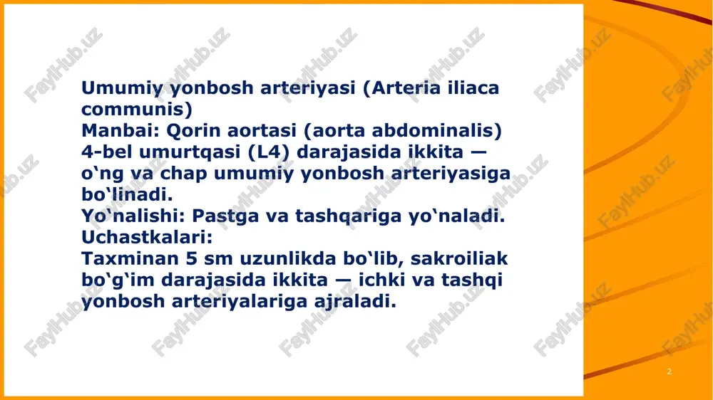venoz pleksus bilan bog'lanadi . 2. bachadon venoz plexus , pleksus venoz uterin , bachadonning keng ligamentining qalinligida yotadi 3. vaginal venoz pleksus , pleksus venoz vaginalis , qinni o'rab oladi va qo'shni pleksuslar bilan bog'lanadi. 7 first up consultants tashqi yonbosh venasi va uning irmoqlari ( v. iliaca tashqaridan ) femoral venaning davomi hisoblanadi . xuddi shu nomdagi arteriyaning orqasida va medial tomonida yotadi irmoqlari: 1. pastki epigastral vena ( v . epigastrica past ) tarmoqlanish zonasiga mos keladi bir xil nomdagi arteriya o'xshash nomli anastomozlarga ega pastki epigastral arteriyaning anastamozlari : 1) a. pastki epigastral ( tashqi yonbosh a ) va a . yuqori epigastral ( ot a. thoracica ichki ); 2) a . pastki epigastral (tashqi yonbosh suyagidan aa ) va aa. interkostallar orqa ( parstoracica aortae ) 3) a . pastki epigastral ( a. tashqi yonbosh suyagidan ) va a. obturatoriya ( a . iliaca dan …