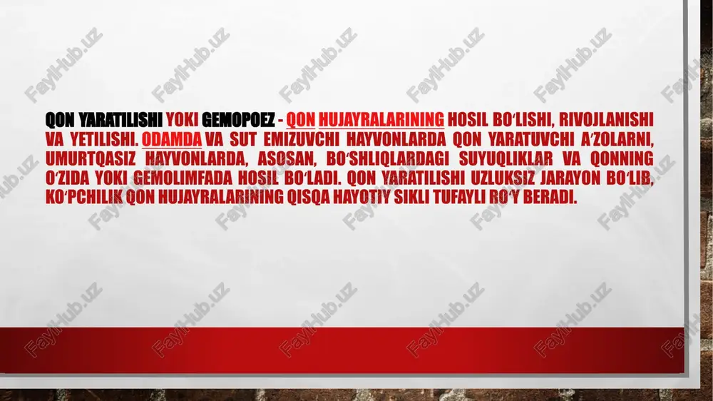 organizmning himoya reaksiyasidir; bunday holat qonning reaktiv oʻzgarishi deb ataladi. qon hosil boʻlishining tezlashuvi organizmning himoya reaksiyasi boʻlganligi sababli kishi sogʻayganda qon yaratilishi ham normallashadi. ayrim kasalliklarda (organizmda temir moddasi, vitamin v|2etishmaganda, taloq kasallanganda, meʼda olib tashlanganda, zaharli moddalardan zaharlanganda) qon hosil boʻlishi susayadi, kamqonlik roʻy beradi. qon yaratuvchi aʼzolar - odam va hayvonlarda qon va limfa hujayralari hosil boʻladigan aʼzolar. odamda va sut emizuvchi hayvonlarda qizil koʻmik, taloq, limfa tugunlari, ayrisimon bez qon yaratuvchi aʼzolara. hisoblanadi. qizil koʻmik asosiy qon yaratuvchi aʼzo. qizil koʻmikning hamma toʻqimasi qonning yetilgan hujayra elementlari bilan toʻla boʻladi. qizil koʻmikdan farq qilib, sariq koʻmikda yogʻ ham boʻladi. koʻmikda eritrotsitlar, leykotsitlarning turli shakllari va trombotsitlar shakllanadi. sigment yadroli neytrofil - sitoplazmasi pushti namo yo’nalgan yumaloq shakldagi hujayra (8-13mkm) sitoplazmada pushti namo binafsha (neytrofil) donadorlik bor. yadrosi o’zaro yupqa bir kontrli to’siqlar bilan birikkan 2-5 sigmentga bo’lingan; turli intensivligdagi binafsha rangiga bo’yalgan. ba’zi soppa – sog’ …
