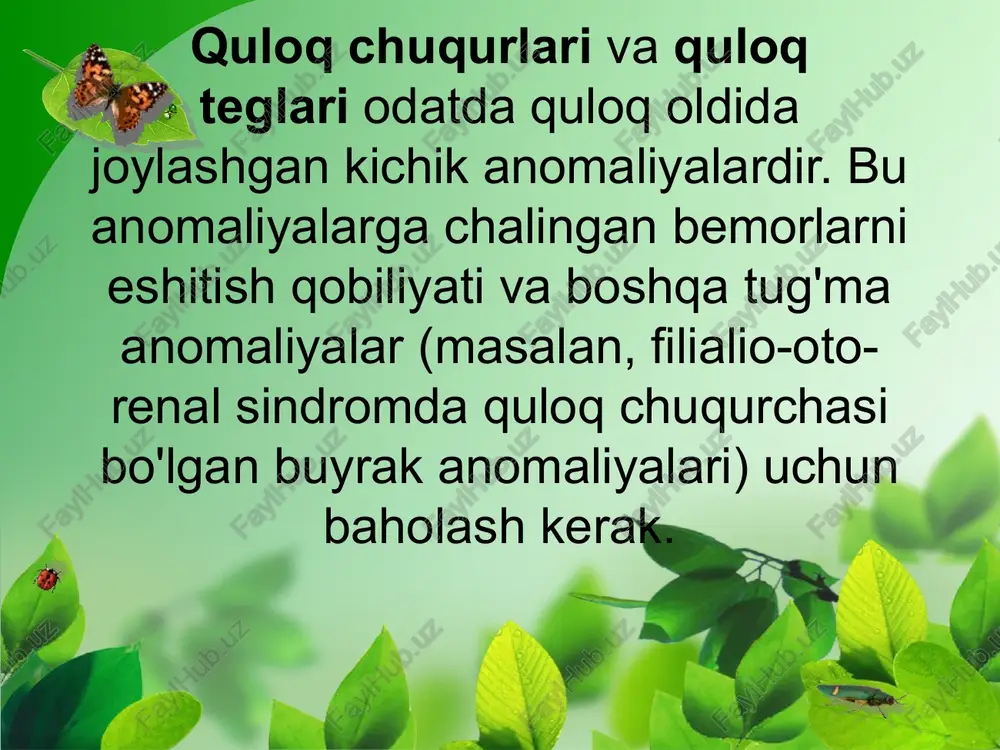 yalang'och ko'z bilan ko'rinadi. chig'anoqlarning chiqishi, ularning ko'payishi, deformatsiyasi, kamayishi yoki umuman yo'qligini sezmaslik mumkin emas. o'rta va ichki quloqning rivojlanishidagi nuqsonlarning yagona sezilarli alomati eshitish qobiliyatini yo'qotish, ya'ni eshitish qobiliyatining buzilishi. vaqt o'tishi bilan, bola tovushlarga javob bermasligi aniq bo'ladi. quloq o'rta quloq klinik anatomiya uning tuzilishi va vazifalari haqida ma'lumot o'z ichiga oladi. eshitish organi bu qismi pnevmatik hujayralari bir tizimi bilan quloq bor, shuningdek eshituv naychani anglatadi. chuqur o'zi - devorlari 6 mashhur bo'lishi mumkin uyasi kabi kosmik hisoblanadi. eshitish analizatorlari eshitish analizatorlari, eshitish sistemasi — tovush tebranishlarini eshitish organlari orqali sezib, tahlil qiladigan mexanik retseptorlar va nerv tuzilmalari majmui. eshitish analizatorlarining tuzilishi, ayniqsa, uning periferik qismi odamda va hayvonlarda farq qiladi. eshitish analizatorlari hasharotlarda timpanal organ, suyakli baliqlarda suzgich pufagi hisoblanadi. suzgich pufagining tebranishi veberov apparatiga, undan ichki quloqqa oʻtadi. suvda hamda quruqlikda yashovchilar, sudralib yuruvchilar va qushlarning ichki qulogʻida qoʻshimcha retseptor hujayralar (bazilyar membranalar — …