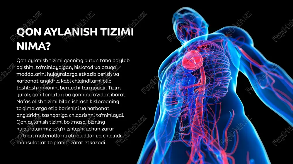 radi, u erda kislorodni oladi va karbonat angidridni chiqaradi. bu kislorodga boy qon keyin yurakka qaytadi. tizimli qon aylanishida yurak bu kislorodli qonni tananing qolgan qismiga pompalaydi. qon tana to'qimalari bo'ylab harakatlanar ekan, u kislorodni etkazib beradi va karbonat angidrid kabi chiqindilarni to'playdi, keyinchalik ular yurak va o'pkaga qaytariladi. qon nimadan iborat? qon bir nechta tarkibiy qismlardan iborat bo'lib, ularning har biri hayotiy funktsiyaga ega. qizil qon hujayralari (qizil qon tanachalari) kislorodni o'pkadan tana to'qimalariga o'tkazish va karbonat angidridni nafas olish uchun o'pkaga qaytarish uchun javobgardir. oq qon hujayralari (wbcs) tanaga infektsiyalarga qarshi kurashishda yordam beradi va immunitet tizimining muhim qismidir. trombotsitlar qon ivishida asosiy rol o'ynaydigan kichik hujayra bo'laklari bo'lib, biz kesishganimizda qon ketishini to'xtatishga yordam beradi. plazma qonning suyuq qismi bo'lib, u butun tanada ozuqa moddalari, gormonlar va chiqindilarni olib yuradi. yurak sikli yurak yurak tsikli deb ataladigan tsiklda qisqarish va bo'shashish orqali ishlaydi. yurak qisqarganda (sistola deb …