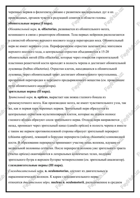 yronov raspolagayutsya v slizistoy obolochke verxnego nosovogo xoda i peregorodki nosa. obonyatelniy nerv ne imeet nervnogo uzla. perifericheskie otrostki zalegayut pod epiteliem verxnego nosovogo xoda, a tsentralnie otrostki ob'edinyayutsya v 15-20 obonyatelnix nitey (filia olfactoria), kotorie cherez otverstiya gorizontalnoy plastinki reshetchatoy kosti proxodyat v polost cherepa i dostigayut obonyatelnoy lukovitsi (bulbus olfactorius). otrostki kletok, naxodyashixsya v obonyatelnoy lukovitse, cherez obonyatelniy trakt dostigayut obonyatelnogo treugolnika, prozrachnoy peregorodki i perednego prodiryavlennogo veshestva (sm. provodyashie puti obonyatelnogo analizatora). zritelnie nervi (ii para). zritelniy nerv, n. opticus, virastaet kak nojka glaznogo bokala iz promejutochnogo mozga. kak proizvodnoe mozga, ne imeet chuvstvitelnogo uzla, tak je, kak i pervaya para cherepnix nervov. zritelniy nerv obrazuetsya iz tsentralnix otrostkov multipolyarnix kletok, kotorie na zadnem polyuse glaznogo yabloka obrazuyut sosok zritelnogo nerva. otsyuda nerv napravlyaetsya nazad, pronikaet cherez zritelniy kanal (canalis opticus) v polost cherepa i vmeste s takim je nervom protivopolojnoy storoni obrazuet zritelniy perekrest (chiasma opticum), …
