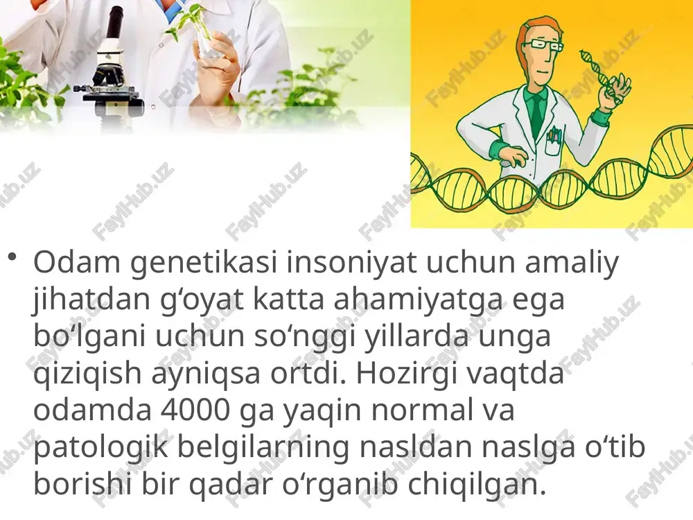 . ma’lumki, odamda egizaklar ikki xil bo‘ladi. ba’zi hollar da bir emas, balki ikkita (kamdan­kam hollarda uchta va hatto to‘rtta) tuxum hujayra urug‘lanadi. egizaklar bitta tuxum hujayradan va har xil tuxum hujayradan rivojlanadi. bitta tuxum hujayradan rivojlangan egizaklar bir jinsli va bir­biriga nihoyatda o‘xshash bo‘ladi. bu tushunarli albatta, chun ki ular bir xildagi genotipga egadir, ular o‘rtasidagi tavofutlar esa faqat muhit ta’siriga bog‘liq bo‘ladi. har xil tuxumdan rivojlangan egizak lar egizakmas aka­uka yoki opa­singillardek bir­biriga o‘xshash, bir xil yoki har xil jinsli bo‘ladi. sitogenetik usul so‘nggi yillarda katta ahamiyat kasb etdi. u odamda uchraydigan irsiy kasalliklarning sabablarini tushunib olish uchun ko‘pgina qimmatli materiallar beradi. genetika nuqtai nazaridan olganda irsiy kasalliklar mutatsiyalardan iborat bo‘lib, ularning ko‘pchiligi retsessivdir. bu usul odam xromosomalar to‘plamidagi ko‘rinadigan darajadagi o‘zgarishlarni o‘rganish imkonini yaratdi. biokimyoviy usul. odamda uchraydigan juda ko‘p patologik holatlar moddalar almashinuvining odatdagicha borishida har xil o‘zgarishlar yuzaga kelishi ga bog‘liq bo‘ladi, buni tegishli biokimyoviy …