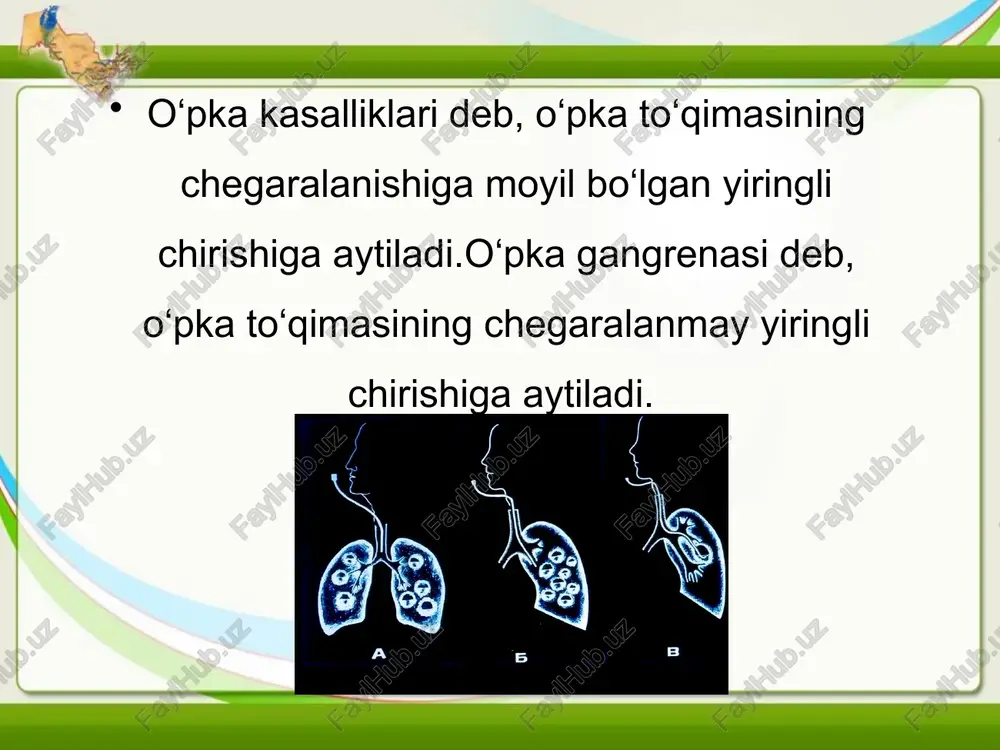 bosh og‘rig‘i, ba’zan yonboshda og‘riq paydo bo‘lishi kabi belgilardan noliydi, tez-tez yuza nafas oladi. kasal tomoni nafasdan orqada qoladi. perkussiyada shikastlangan soha ustida og‘riq aniqlanadi, bu sohadagi qovurg‘alar orasini stetoskop bilan bosil- ganda yo‘tal refleksi kuchayadi. bu plevraning yallig‘lanish jarayoniga tortilishining ilk belgisidir. puls tezlashgan — minutiga 120 tagacha, yurak tonlari bo‘g‘iqroq, auskultatsiyada qattiq, ba’zan bronxial nafas, quruq va nam xirillashlar eshitiladi. rentgenologik yo‘l bilan tekshirib ko‘rilganda, infiltratsiyasi bor joy qorayib turadi. ikkinchi davr yiringli bronxlar bo‘shlig‘iga yorilishidan bosh­lanadi. bemorlardan bir talay (1 l.gacha va bundan ko‘proq) yiringli yoki chink balg‘am chiqadi. abssessda balg‘am yashil rangli, hidsiz bo‘ladi. gangrenada esa balg‘am shokolad tusida va qo‘lansa hidli bo‘ladi. sutka ichida ajralib chiqadigan balg‘am miqdori ortishi bilan bemorlarning umumiy ahvoli sezilarli darajada yaxshilanib boradi, tana harorati esa pasayadi, intoksikatsiya holatlari asta- sekin pasayib, ishtaha asl holiga keladi, qonda leykotsitlar soni kamayadi va echt sekinlashadi ayrim hollarda kuchli yo‘talda o‘pka ichidagi bosim anchagina …