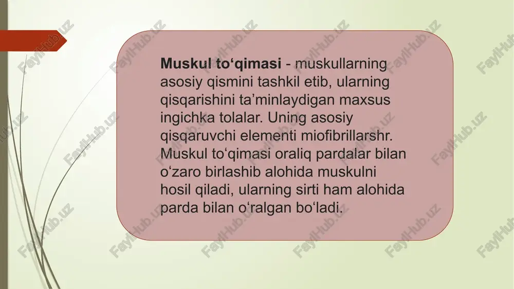 k va tovush chiqarishi mumkin. muskul to'qimasining ahamiyati: harakatlarni amalga oshirish. ichki organlarning normal faoliyatini ta'minlash. yordamchi funktsiyalar, masalan, nafas olish, hazm qilish va qon aylanishi. e`tiboringiz uchun rahmat! image1.png image2.png image3.png image4.png image5.png 79-rasm. silliq muskul to'gimasining tuzilishi (sxema). [- silliq muskul hujayrasi: 2 —hujayra yadrosi; 3 sarkolemmadagi miofebrillalar; silliq muskul hujayra; 4 — sarkolemma; 5 — endomiziy; 6 —nerv; 7 — qon tomir. 80- rasm. silliq muskul, me’da devori shilliq qavatining muskul_plastinkasidan olingan silliq muskul hujayrasi. elektron mikrofotogramma, x8.500. i~ yadro; 2 ~ sitoplazma; 3 — hujayra atrofidagi kollagen tolalar. /docprops/thumbnail.jpeg mev2u: muska to'cimasiing fas eyo |. muska! to'qimas| haglda ma'umatiar 20th to'gimatiing teoasvol ve ‘volo 3. muskul fo'gimasining tus