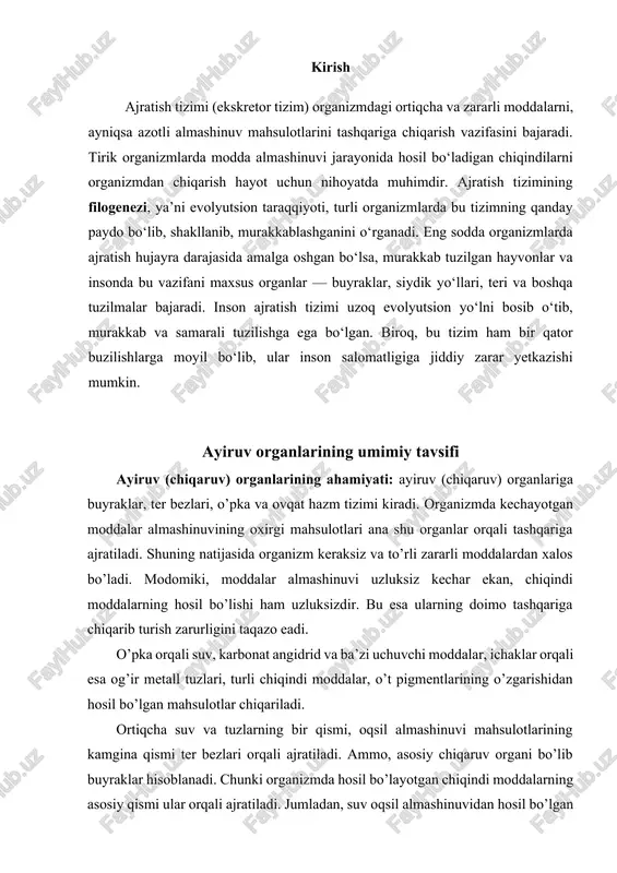 i. chunki organizmda hosil bo’layotgan chiqindi moddalarning asosiy qismi ular orqali ajratiladi. jumladan, suv oqsil almashinuvidan hosil bo’lgan mahsulotlar -mochevina, siydik kislota, kreatinin, mineral moddalar va boshqa chiqindi moddalarning asosiy qismi buyraklar orqali siydik bilan birga chiqariladi. ayiruv organlari organizm uchun benihoya katta ahamiyatga ega. ularning faoliyati tufayli organizm zaharli moddalardan tozalanadi. organizm ichki muhitining nisbatan doimiyligini saqlab turishda ham chiqaruv organlari katta rol o’ynaydi. jumladan, qon, limfa, to'qima suyuqliklarining ion tarkibi, osmotik bosimining turg’unligini ta’minlashda ayiruv organlarining roli katta. ayiruv organlari, jumladan siydik chiqarish tizimi hayvonot olamining evolyutsion taraqqiyotida talaygina o’zgarishlarga uchrab, taraqqiy qilgan va mukammallashib borgan. bir hujayrali organizmlarda dastlabki chiqaruv organivakuola mavjud. ko’pchilik umurtqasiz ko’p hujayrali hayvonlarda chiqaruv organi vazifasini shoxlangan ingichka naychalar-nefriyadalar bajaradi. bu naychalarning uchlarida maxsus hujayralar bor. chiqindi moddalar ana shu hujayralarda ushlanib qoladi va naychalar orqali chiqarib yuboriladi. qo’yi darajada taraqqiy etgan umurtqali hayvonlarda chiqaruv organi vazifasini birlamchi buyrak, ya’ni bir uchi kengayib …