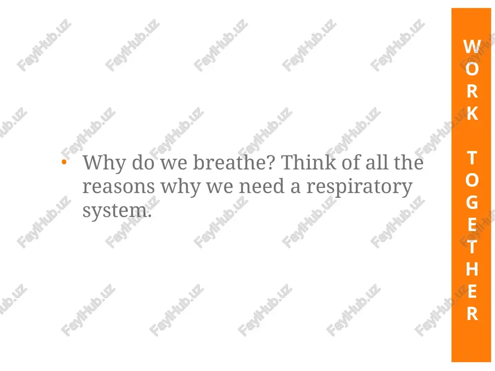 exhalation, these muscles relax. the diaphragm domes upwards. alveoli the alveoli are moist, thin-walled pockets which are the site of gas exchange. a slightly oily surfactant prevents the alveolar walls from collapsing and sticking together. circulation and gas exchange recall the interconnection between circulation and the respiratory system. gas exchange at the lungs and in the body cells moves oxygen into cells and carbon dioxide out. what happens when you breathe in? the rib muscles relax. the diaphragm contracts. air leaves the alveoli. air moves between the chest wall and the lung. premature infants sometimes die of lung collapse and other lung problems. what might preemies be missing? how could this be remedied? w o r k t o g e t h e r in the alveolus the respiratory surface is made up of the alveoli and capillary walls. the walls of the capillaries and the alveoli may share …