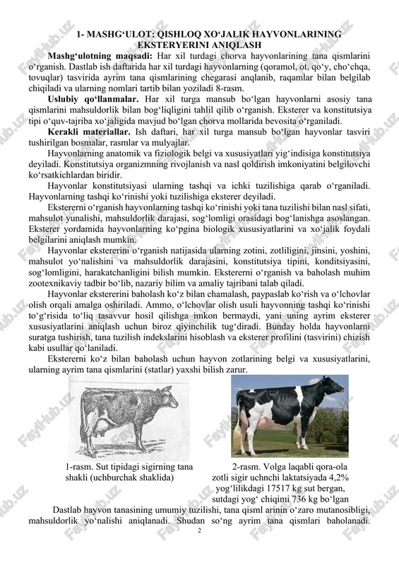 hayvonlar ekstererini o‘rganish natijasida ularning zotini, zotliligini, jinsini, yoshini, mahsulot yo‘nalishini va mahsuldorlik darajasini, konstitutsiya tipini, konditsiyasini, sog‘lomligini, harakatchanligini bilish mumkin. ekstererni o‘rganish va baholash muhim zootexnikaviy tadbir bo‘lib, nazariy bilim va amaliy tajribani talab qiladi. hayvonlar ekstererini baholash ko‘z bilan chamalash, paypaslab ko‘rish va o‘lchovlar olish orqali amalga oshiriladi. ammo, o‘lchovlar olish usuli hayvonning tashqi ko‘rinishi to‘g‘risida to‘liq tasavvur hosil qilishga imkon bermaydi, yani uning ayrim eksterer xususiyatlarini aniqlash uchun biroz qiyinchilik tug‘diradi. bunday holda hayvonlarni suratga tushirish, tana tuzilish indekslarini hisoblash va eksterer profilini (tasvirini) chizish kabi usullar qo‘laniladi. ekstererni ko‘z bilan baholash uchun hayvon zotlarining belgi va xususiyatlarini, ularning ayrim tana qismlarini (statlar) yaxshi bilish zarur. 1-rasm. sut tipidagi sigirning tana shakli (uchburchak shaklida) 2-rasm. volga laqabli qora-ola zotli sigir uchnchi laktatsiyada 4,2% yog‘lilikdagi 17517 kg sut bergan, sutdagi yog‘ chiqimi 736 kg bo‘lgan dastlab hayvon tanasining umumiy tuzilishi, tana qisml arinin o‘zaro mutanosibligi, mahsuldorlik yo‘nalishi aniqlanadi. …