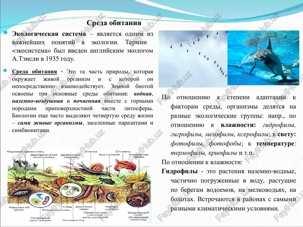 tochnogo visokogo uslovnogo poroga (takoy porog prinimayutsya temperatura v 18-200). kriofili – organizm, jivushiy v talix vodax na poverxnosti lda ili snega, a takje v vode, promivayushiy morskoy led. afrikanskiy buyvol ovtsebik tibetskiy yak zubr afrikanskiy slon indiyskiy slon andskiy kondor afrikanskiy straus imperatorskiy pingvin albatros ekologicheskaya sistema ekologicheskaya sistema - sovokupnost organizmov i usloviy sredi, v kotoroy oni obitayut. ekosistema – bezrangovoe ponyatie, k ee chislu otnosyatsya – kaplya vodi, muraveynik, uchastok lesa, ozero, gorod i t.d. videlyayut ekosistemi razlichnogo ranga – mikroekosistemi (luja, trup jivotnogo, akvarium), mezoekosistemi (reka, les), makroekosistemi (okean, kontinent) i globalnuyu ekosistemu – biosfera v tselom. vse ekosistemi v tselom sostavlyayut ekosferu ekosistemi podrazdelyayut na tri osnovnix tipa, vklyuchayushie v sebya sxojie vidi organizmov. glavnie ekosistemi sushi takie, kak lesa, stepi i pustini, nazivayutsya nazemnimi ekosistemami ili biomami. osnovnie razlichiya mejdu etimi ekosistemami v raznix regionax mira opredelyayutsya raznimi sootnosheniyami sredney temperaturi i ispareniya. kak …