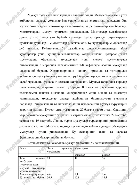 ralar differentsialashadi, ayni xujayralar usib, kushilib simplastlar xosil kiladi. bulardan gavda muskullari, oyok-kullar muskullari ya'ni skelet muskulaturasi rivojlanadi. embrional tarakkiyotning 7-8 xaftasida asosiy muskullar shakllanib boradi. xomiladorlikni ikkinchi yarimida va tugilishdan keyingi davrda kuyidagi uzgarishlar ruy beradi: muskul tolalar uzunasiga karab chuziladi, kundalang kesmasi kattalashadi. muskul tarkibida yadrolar soni kamayadi, ularning shakli uzgaradi. yumalok va ovalsimon yadrolar tayokchasimon shaklga aylanadi, miofibrillar soni oshadi va diametri kalinlashadi, muskullar orsida joylashgan biriktiruvchi tukimali pardalar rivojlanadi va natijada yaxshi ifodalangan muskul guruxlarni ajratish mumkin. kursatilgan uzgarishlar 25 yoshgacha davom etadi. odamning umr davomida muskulning ogirligi 3 martaba oshadi, skeletniki 27 martaba, terida esa 19 martaba. lekin, turli muskullar guruxlarning rivojlanish darajasi xar xil. masalan, odamda tugilishdan keyingi davrda oyoklardagi muskullar kuchli rivojlanadi. bu oyoklarning tayanch va xarakat funktsiyalarni bajarishi bilan bog'lik. katta odamda va chakalokda muskul massasini % da taksimlanishi. belgi yangi tugilgan chakaloklar katta odam erkaklar ayollar tana vazniga nisbatdan muskullar vazni …
