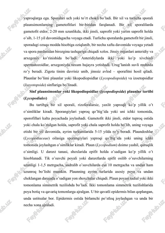 di. bir xil sporalilarda gametofit etdor, 2-20 mm uzunlikda, ikki jinsli, saprofit yoki yarim saprofit holda o’sib, 1-15 yil davomidagacha voyaga etadi. turlicha sporalarda gametofit bir jinsli, sporadagi ozuqa modda hisobiga oziqlanib, bir necha xafta davomida voyaga yetadi va spora pardasidan birozgina tashqariga chiqadi xolos. jinsiy organlari anteridiy va arxegoniy ko’rinishida bo’ladi. anteridiylarda ikki yoki ko’p xivchinli spermatozoidlar, arxegoniyda tuxum hujayra yetishadi. urug’lanish suvli muhitda ro’y beradi. zigota tinim davrisiz unib, jinssiz avlod – sporafitni hosil qiladi. plaunlar bo’limi plaunlar yoki likopodiopsidlar (lycopodiopsida) va izoetopsidlar (isoyotopsida) sinflariga bo’linadi. sinf plaunsimonlar yoki likopodiopsidlar (lycopodiopsida) plaunlar tartibi (lycopodiales) bu tartibga bir xil sporali, rizoforalarsiz, yaxlit yaproqli ko’p yillik o’t o’simliklar kiradi. sporangiylari yaproq qo’ltig’ida yoki uni ichki tomonida, sporofillari kalta poyachada joylashadi. gametofit ikki jinsli, etdor tuproq ostida yoki chala ko’milgan holda, saprofit yoki chala saprofit holda bo’lib, uning voyaga etishi bir yil davomida, ayrim turkumlarida 5-15 yilda ro’y beradi. plaundoshlar (lycopodiaceae) …