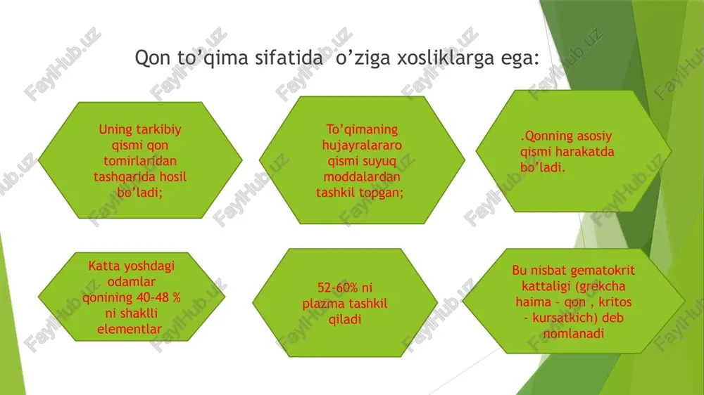 shaklli elementlardan iborat. ularning o'zaro nisbati sog'lom odamda 55:45 ni tashkil etib, gematokrit ko'rsatkichi deb ataladi. gematokrit ko'rsatkichning u ѐki bu tomonga o'zgarishi qonning suyulishi ѐki quyulishini ko'rsatib, muhim diagnostik belgi hisoblanadi. oqsillar miqdori va ularning protsenti nisbati fiziologik sharoitlarda doimiy bo'lib, turli patologik holatlarda o'zgarishi mumkin. qon plazmasida globulinlarning bir necha turlari (fraktsiyalari) uchraydi (alfa, beta va gamma-globulinlar). gamma-globulinlar fraktsiyasi qon zardobida antitelolar tutuvchi asosiy oqsillar hisoblanadi. fibrinogen esa ma'lum sharoitda fibrin tolalariga aylanish xususiyatiga ega bo'lib, qon ivishida muhim ahamiyatga ega. fibrinogensiz plazma qon zardobi deb ataladi. qonning shaklli elementlari: eritrotsitlar, leykotsitlar, trombotsitlar. eritrotsitlar – qizil hujayralar, leykotsitlar – oq hujayralar, trombotsitlar – qon plastinkalari. eritrotsitlar. 1 mm3 qonda taxminan 5 mln. eritrotsit bo'ladi. shakli – ikki tomonlama botiq disk, ba'zi kasalliklarda shakli o'zgaradi – poykilotsitoz. buni diagnostikada axamiyati katta. eritrotsitlarning quyidagi shakllari uchraydi: dakrotsitlar – tomchisimon, stomatotsitlar – markazi teshikli, bular o'roqsimon hujayrali anemiyada uchraydi, sferotsitlar – …
