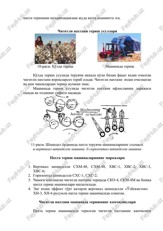 50-80 kg paxta terishga muvaffaq bo'ladi, garchi ilg'or terimchilar kuniga 200-300 kg paxta terishga erisha oladi. shunday qilib, paxta terimini mexanizatsiyalash juda katta axamiyatga ega. chigitli paxtani terish usullari 10-rasm. qo'lda terish mashinada terish qo'lda terish usulida teruvchi ikkala qo'li bilan faqat yaxshi ochilgan chigitli paxtani yaproqlarsiz terib oladi. chigitli paxtani yaxshi ochilmagan va nam chanoqlardan terish mumkin emas. mashinada terish usulida chigitli paxtani ifloslanish darajasi oshadi va tolaning sifati pasayadi. 11-rasm. shpindel yordamida paxta teruvchi mashinalarning sxemasi. a-vertikal-shpindelli mashina; b-gorizontal-shpindelli mashina paxta terish mashinalarining markalari 1. vertikal shpindelli sxm-48, sxm-48, xvs-1, xvs-2, xvs-3, xvs-6; 2. gorizontal shpindelli sxs-1, sxs-2; 3. chanog'i ochilmagan chigitli paxtani terishda sko-4, skm-4m va boshqa paxta terish mashinalari ishlatiladi. 4. eng yaxshi effekt to'rt qatorli vertikal shpindelli «o'zbekiston» xn-3, xn-6 rusumli paxta terish mashinasida olingan. chigitli paxtani mashinada terishning kamchiliklari paxta terish mashinasida terilgan chigitli paxtaning kamchiligi chigallangan tolalarning ko'payishi. tolalarning tarkibida tugunaklarning ko'payishi kichik …
