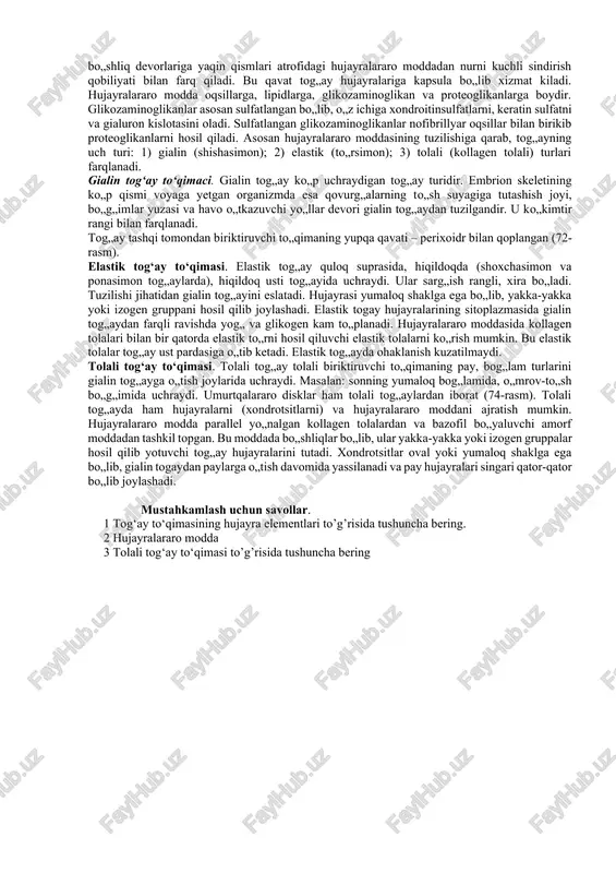 zmaga ega bo„lib, ribonuklein kislotaga boy bo„lganligi sababli sitoplazmasi bazofil bo„yaladi. elektron mikroskop ostida xondroblast hujayralarida endoplazmatik to’rning parallel membranalari ko„rinadi. bu holat hujayraning yuqori sintetik faoliyatidan darak beradi. sitoplazmada glikogen va mukopolisaxaridlarning katta to„plamlari aniqlanadi. ba‟zan endoplazmatik to„r membranalari hujayra qobig„iga yaqinlashadi. hujayraning bunday tuzilishi sekret ishlovchi hujayralarga xosdir. xondroblastlar takomillashish natijasida xondrotsitlarga aylanadi. tog„ay ustida qon tomir kapillyarlariga boy bo„lgan biriktiruvchi to„qima yotadi. qon tomirlar va nerv oxirlari atrofida uzun fibroblast tipidagi hujayralar va kollagen tolalarning tutamlari joylashadi. bu tuzilma tog’ay usti pardasi–perixondr (yunon. peri – oldi, chondros – tog„ay) deb nomlanadi. tog’ay to„qimasining oziqlanishi, regeneratsiyasi va ba‟zi bir gistoximik xususiyatlari tog„ay usti pardasiga bog„liq. tog„ay usti pardasida qon tomirlari joylashgan siyrak tolali biriktiruvchi to„qimadan iborat tashqi qavat, o„zida xondroblastlar va ularning boshlang„ich hujayralari bo„lgan prexondroblastlar tutuvchi ichki qavat ajratiladi. tog„ay usti pardasining bevosita ostida duksimon shaklga ega yosh xondrotsitlar joylashadi. perixondr tog„ay to„qimasining o„sishida va regeneratsiyasida muhim …