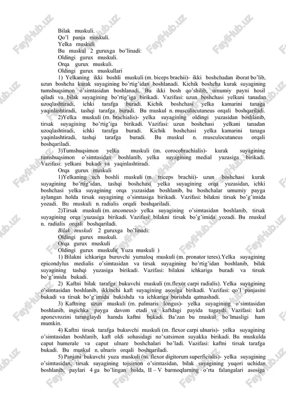suyagining fossa supraspinata chuqurchasidan boshlanib, yelka suyagining kattta bo’rtiq sohasiga birikadi. vazifasi: qo’lni tanadan uzoqlashtiradi, va gorizontal sathgacha ko’taradi hamda tashqi tarafga buradi. bu muskul n.suprascapularis orqali boshqariladi. 3) kurakning qirra osti muskuli. (m. infraspinatus)- kurak suyagidagi fossa infraspinata chuqurchasidan boshlanib, yelka suyagidagi katta bo’rtiq sohasiga birikadi. vazifasi: yelkani tashqariga buradi. bu muskul n.suprascapularis orqali boshqariladi. 4) katta yumaloq muskul. (m. teres major)- kurak suyagining pastki burchagidan boshlanib, yelka suyagining kichik bo’rtiq qirrasiga birikadi. vazifasi: qo’lni orqaga va ichkariga tortadi hamda buradi. bu muskul n.toracodorsalis orqali boshqariladi. 5) kichik yumaloq muskul. (m. teres minor)- kurak suyagi tashqi qirrasidan boshlanib, yelka suyagining katta bo’rtig’iga birikadi. vazifasi: yelkani tashqariga buradi. bu muskul n. axillaris orqali boshqariladi. 6) kurak osti muskuli. (m. subscapularis)- kurak suyagining shu nomli chuqurchasida joylashadi, qovurg’a yuzasini to’ldirib, yelka suyagining kichik bo’rtig’iga birikadi. vazifasi: qo’lni ichkariga buradi. bu muskul n.subscapularis orqali boshqariladi. qo’lning erkin muskuli bu muskul 3 guruxga …