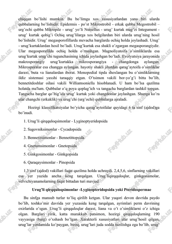 mln. yil ilgari o’sgan har xil sporali shakllarining qoldiqlari topilgan. devon davrining oxirlarida arxeopterislar vujudga kelib, ularning bo’yi 30 metrga etgan. arxeopterislarda o’zak va ikkilamchi ksilemaning bo’lishi ularni ochiq urug’lilarga yaqinlashtirdi. lekin urug’li qirqquloqlarda ikkilamchi ksilema taraqqiy etmagan. umuman bularda yog’ochlik o’rnida floema yaxshi rivojlangan. ularda dastlabki barglar shakllanib, borgan, bu esa ochiq urug’li o’simliklarning paydo bo’lishida katta rol o’ynagan. demak ochiq urug’lilar haqiqiy qirquloqlardan emas, balki qandaydir oraliq o’simliklardan kelib chiqqan bo’lishi mumkin. bu bo’limga xos xususiyatlardan yana biri ularda qubbalarning bo’lishidir. epidermis - po’st mikrostrobil - erkak qubba megostrobil – urg’ochi qubba mikropile - urug’ yo’li nutsellus - urug’ kurtak mag’zi integument - urug’ kurtak qobig’i ochiq urug’lilarga xos belgilardan biri ularda urug’ning hosil bo’lishidir. urug’ megasporofillarda mevacha barglarda ochiq holda joylashadi. urug’ - urug’kurtaklardan hosil bo’ladi. urug’kurtak esa shakli o’zgargan megasporangiydir. ular megosporafilda ochiq holda o’rnashgan. magnoliyatoifa o’simliklarda esa urug’kurtak urug’chi tugunchasining ichida joylashgan bo’ladi. evolyutsiya jarayonida …
