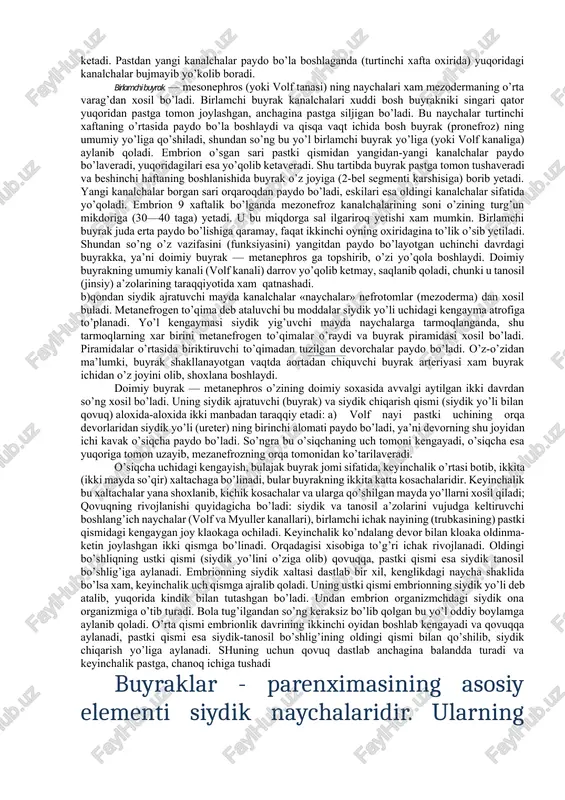 amoman boshqa sistema, ya’ni birlamchi ichak naychasi xisobidan rivojlanadi.buyrak rivojlanishidagi uch davrni va siydik yo’li bilan qovuqning rivojlanishini aloxida-aloxida ko’rib chiqamiz. bosh (boshlangich) buyrak — pronephros oddiy tuzilishdagi siydik ajratish a’zosi bulib barcha umurtqalilar pushtida paydo bo’ladi. tepadan pastga tomon kator joylashgan bir nechta (5—7) mayda va kalta kanalchalardan iborat bulib, mezoderma o’rta varag’ining tashki plastinkasidan (uchinchi kaftaning oxirida) paydo buladi. pronephros embrionning bosh tomoniga yaqin joylashganidan bosh buyrak nomini olgan. xar kaysi kanalcha tashki (lateral) tomoni bilan bir-biriga tutashib, pronephros ning umumiy yo’lini xosil qiladi. bu yo’l pastga tomon o’sib borib, birlamchi ichak nayining pastki tomonidagi uchiga qo’shiladi. kanalchalarning ichki (medial) uchlari salgina kengayib (buyrak voronkasi nomi bilan), tananing ikkilamchi bo’shlig’iga ochiladi. ana shu ichki uchlaridagi xujayralar tuklar bilan ta’minlangan. ikkilamchi bo’shliqning ichki devori yaqinida xar qaysi kanalcha qarshisiga arteriya keladi. ular mayda tarmoqlarga bo’linib, chigal xosil qiladi. ana shu joyda suyuklik qondan kanalchalarga suriladi. bosh buyrak odam pushtida …