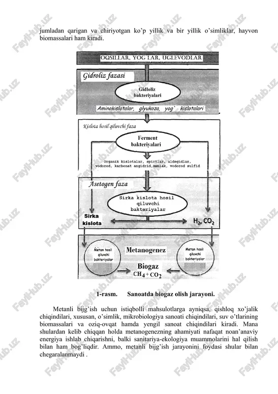 ida to’planadi. bu jarayon metanogenez deb atalib, anaerob arxebakteriyalar (metanogenlar) tomonidan amalga oshiriladi. metanogenezning suvda erimaydigan qismi, ko’plab bakteriyalar assotsiatsiyasi hosil qilgan biomassadir. biomassa organik azotga boy bo’lganligi uchun ham yuqori sifatli o’g’it sifatida ishlatiladi. metanli bijg’ish boshqa bijg’ish turlariga nisbatan keng tarqalgan tabiiy jarayondir. bunga sabab jarayonni aerob sharoitda ham o’tishidir. bu quyidagicha o’tadi: ko’pgina organik birikmalarni yuzalarida yupqa qobiq hosil bo’ladi, ichida esa metanli bijg’ish jarayoni uchun zarur bo’lgan anaerob sharoit tashkil bo’ladi. bunday substratlarga barcha xildagi o’simlik materiallari, jumladan qarigan va chiriyotgan ko’p yillik va bir yillik o’simliklar, hayvon biomassalari ham kiradi. 1-rasm. sanoatda biogaz olish jarayoni. metanli bijg’ish uchun istiqbolli mahsulotlarga ayniqsa, qishloq xo’jalik chiqindilari, xususan, o’simlik, mikrobiologiya sanoati chiqindilari, suv o’tlarining biomassalari va oziq-ovqat hamda yengil sanoat chiqindilari kiradi. mana shulardan kelib chiqqan holda metanogenezning ahamiyati nafaqat noan’anaviy energiya ishlab chiqarishni, balki sanitariya-ekologiya muammolarini hal qilish bilan ham bog’liqdir. ammo, metanli bijg’ish jarayonini foydasi shular …