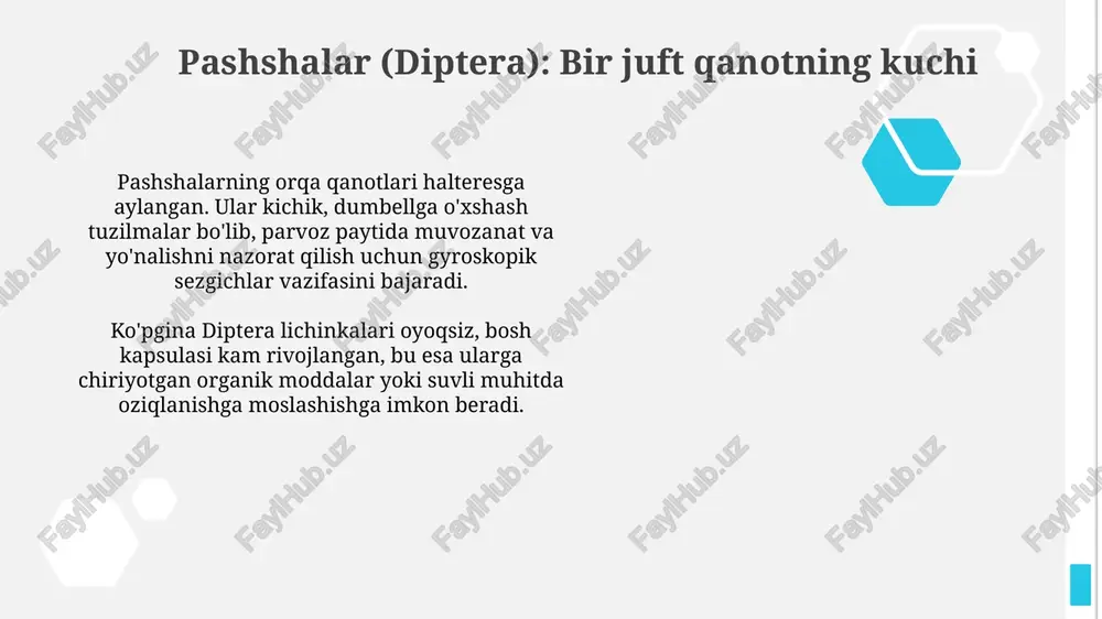 izatsiya qilib, sanitariya holatini yaxshilashda va kasallik tarqalishining oldini olishda yordam beradi. ularning vazifasi juda muhim. ba'zi qo'ng'iz lichinkalari, masalan, go'ng qo'ng'izlari, tuproq unumdorligini oshiradi. ular organik moddalarni parchalab, tuproqning tarkibini yaxshilaydi, mineral moddalarni ajratadi. kapalaklar va kuya (lepidoptera): goʻzallik parvozi lepidoptera turkumiga 160,000 dan ortiq tur kiradi, ularning qanotlari mayda tangachalar bilan qoplangan, bu esa ularga xos rang va naqsh beradi. lepidoptera lichinkalari qurtlar deb ataladi, ular o'simliklar bilan oziqlanadi va bir necha marta tullash orqali o'sadi, keyin esa g'umbakka aylanadi. lichinka: oʻsish va oziqlanish lichinka intensiv o'sadi, tana hajmi ko'payadi va bir necha marta tullaydi. har bir tullash davri orasida lichinka oziq moddalarni faol ravishda to'playdi, vazni ortadi. lichinkaning o'sishi bir necha bosqichlardan iborat bo'lib, har bir bosqichda lichinka kattalashadi va keyingi tullashga tayyorlanadi. bu davr davomiyligi turga va tashqi sharoitlarga bog'liq, 2 haftadan 2 yilgacha. tuxum: hayotning boshlanishi xoriion - tuxumning tashqi qobig'i bo'lib, embrionni himoya qiladi …