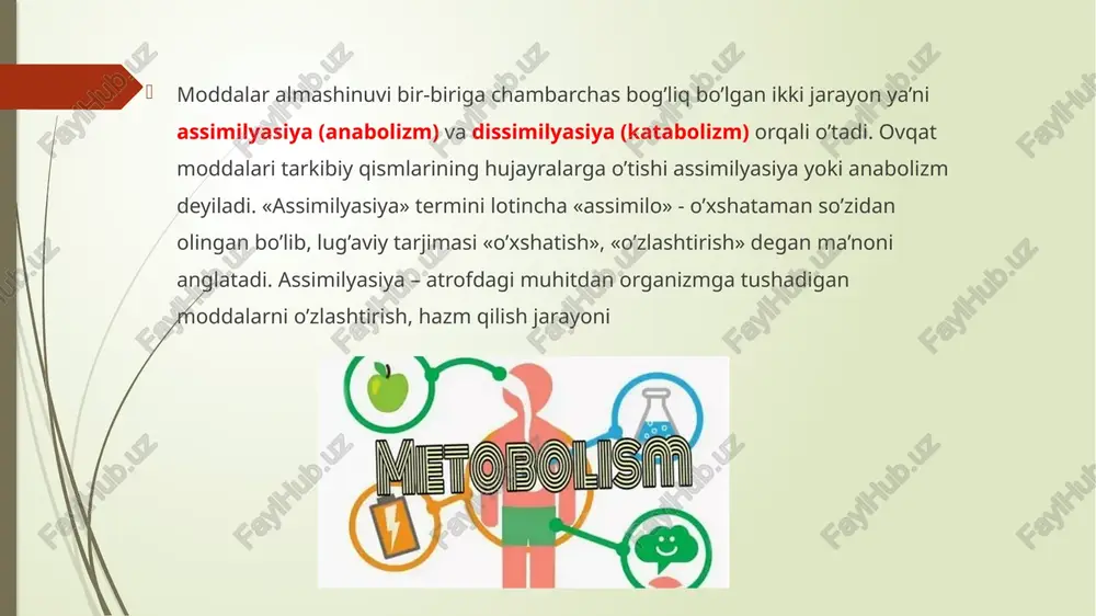 roitlarda (ph-7,0, harorat 37°c) erkin energiyaning o‘zgarishi 7,3 kkal/mol ga teng bo‘ladi. atf ko‘plab anabolik jarayonlarning endergonik reaksiyalari uchun energiya manbayi bomib xizmat qiladi. atf ning erkin energiyasi tufayli organizm hayot faoliyati asosida yotgan turli xil ishlar (mushaklarning qisqarishi, moddalarning faol tashilishi va shu kabilar) bajariladi. energetik funksiya bilan birga, atf tanada yana boshqa bir qator muhim vazifalarni bajaradi: boshqa nukleozid trifosfatlar bilan birgalikda atf nuklein kislotalar sintezida boshlang‘ich mahsulotdir; atf ko‘plab biokimyoviy jarayonlarni tartibga solishda muhim otin tutadi: u ko‘p fermentlar uchun allosterik ta’sirga ega bodib, ularning boshqaruv markazlariga birikib, fermentativ faoliyatni oshiradi yoki pasaytiradi; atf ba’zi gormonlar signalini hujayralarga uzatuvchi ikkilamchi vositachi - siklik adenozinmonofosfat otmishdoshidir; atf sinapslarda mediatorlik vazitasini bajaradi va boshqa hujayralararo signalni o‘tkazishda ham ishtirok etad zamonaviy tushunchalarga kota, atf ning inson tanasida sintezi ikki yo‘l bilan yuz berishi mumkin: 1) substratli fosforillanish yo‘li; 2) oksidlanishli fosforillanish orqa substratli fosforillanish mitoxondriya va mitoxondriyadan tashqarida kechishi …