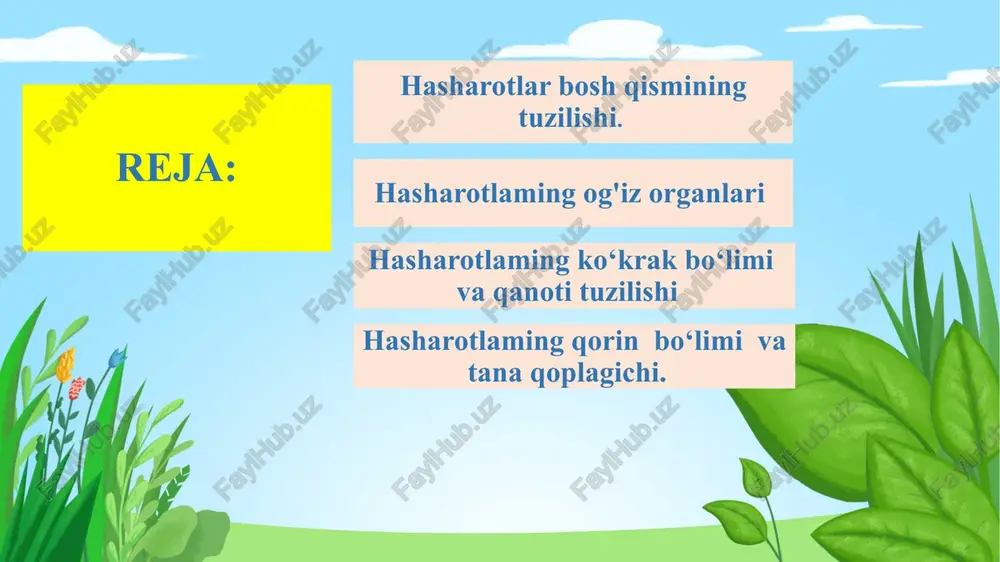 liklar bor. shuning uchun og‘iz organlarining barcha ma’lum xillari sodda tuzilgan yagona og‘iz organidan kelib chiqqan deyish mumkin so‘ruvchi sanchib -so‘ruvchi. yalovchi 1 kemiruvchi og’iz organiga ega hashorotlar. . 2.kemiruvchi-so‘ruvchi hamda so’ruvchi . 3.yalovchi tip suvaraklar, chigirtkalar, qo'ng'izlar, kapalaklaming qurtlari va boshqa hasharotlar uchun xos bo'lgan kemiruvchi og'iz organ eng qadimiy, ya’ni birlamchi hisoblanadi arilarning kemiruvchi - so‘ruvchi og'iz organi yuqori lab va yuqori jag'laming tuzilishiga binoan kemiruvchi tipdagi og'iz organiga juda o'xshash kapalaklarning og’iz organi so’ruvchi tipda pashshalarda rivojlangan yalovchi og 'iz organida faqat pastki lablar yaxshi rivojlanib, filtrlovchi apparatga ega bo'lgan plastinkasi- mon ikkita o‘simtani hosil qilgan. yuqori lab va gipofarinks pastki labning oldingi devori bilan birga naychani hosil qiladi. hasharotlar (insecta) sinfining tashqi ko‘rinishi. hasharotlaming ko‘kragi oldingi, o‘rta va orqa ko‘krak deb ataladigan uchta bo‘g‘imdan tuzilgan, har bir ko‘krak bo‘g‘imi 4 ta xitin qoplag‘ich - skleritlardan iborat. orqa skleriti tergit qorin skleriti sternit va ikkita yon skleritlar …