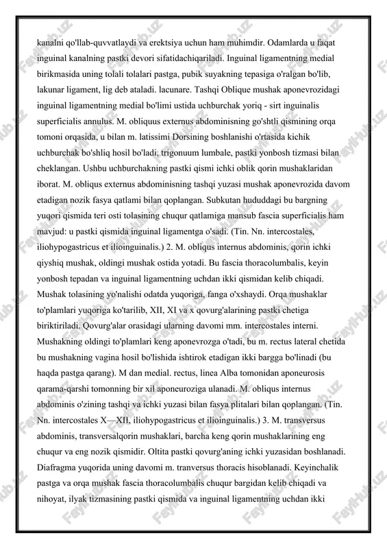 kin tomoni spina iliaca anterior superior va tuberculum pubicum orasiga kirib,ichki tomonga o'tqaziladi. tendonning qolgan qismidan sun'iy ravishda chiqarilgan bu chetga inguinal ligament, lig deyiladi. inguinale. primatlarda inguinal ligament qorinning pastki devorini va inguinal kanalni qo'llab-quvvatlaydi va erektsiya uchun ham muhimdir. odamlarda u faqat inguinal kanalning pastki devori sifatidachiqariladi. inguinal ligamentning medial birikmasida uning tolali tolalari pastga, pubik suyakning tepasiga o'ralgan bo'lib, lakunar ligament, lig deb ataladi. lacunare. tashqi oblique mushak aponevrozidagi inguinal ligamentning medial bo'limi ustida uchburchak yoriq - sirt inguinalis superficialis annulus. m. obliquus externus abdominisning go'shtli qismining orqa tomoni orqasida, u bilan m. latissimi dorsining boshlanishi o'rtasida kichik uchburchak bo'shliq hosil bo'ladi, trigonuum lumbale, pastki yonbosh tizmasi bilan cheklangan. ushbu uchburchakning pastki qismi ichki oblik qorin mushaklaridan iborat. m. obliqus externus abdominisning tashqi yuzasi mushak aponevrozida davom etadigan nozik fasya qatlami bilan qoplangan. subkutan hududdagi bu bargning yuqori qismida teri osti tolasining chuqur qatlamiga mansub fascia superficialis …