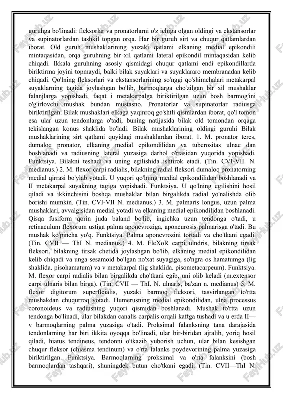 hak bundan mustasno. pronatorlar va supinatorlar radiusga biriktirilgan. bilak mushaklari elkaga yaqinroq go'shtli qismlardan iborat, qo'l tomon esa ular uzun tendonlarga o'tadi, buning natijasida bilak old tomondan orqaga tekislangan konus shaklida bo'ladi. bilak mushaklarining oldingi guruhi bilak mushaklarining sirt qatlami quyidagi mushaklardan iborat. 1. m. pronator teres, dumaloq pronator, elkaning medial epikondilidan va tuberositas ulnae dan boshlanadi va radiusning lateral yuzasiga darhol o'rtasidan yuqorida yopishadi. funktsiya. bilakni teshadi va uning egilishida ishtirok etadi. (tin. cvi-vii. n. medianus.) 2. m. flexor carpi radialis, bilakning radial fleksori dumaloq pronatorning medial qirrasi bo'ylab yotadi. u yuqori qo'lning medial epikondilidan boshlanadi va ii metakarpal suyakning tagiga yopishadi. funktsiya. u qo'lning egilishini hosil qiladi va ikkinchisini boshqa mushaklar bilan birgalikda radial yo'nalishda olib borishi mumkin. (tin. cvi-vii n. medianus.) 3. m. palmaris longus, uzun palma mushaklari, avvalgisidan medial yotadi va elkaning medial epikondilidan boshlanadi. qisqa fusiform qorin juda baland bo'lib, ingichka uzun tendonga o'tadi, u …