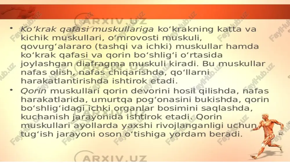 ishi buzilganda, ular boshqaradigan muskullarda periferik falajlik yuzaga keladi. bunda ulaming tonusi pasayib, shol bo'lgan qo'l yoki oyoq harakatsizlanib, osilib qoladi. orqa muskullariga trapetsiyasimon, orqaning serbar muskuli, rombsimon, kurakni ko'taruvchi, yuqorigi va pastki tishsimon, umurtqa pog'onasini tiklovchi (yozuvchi) muskullar kiradi. orqa muskullari umurtqa pog'onasi va kurak suyagi harakatlarini ta'¬minlaydi. vlar gavdani rostlab turadi. qo'l muskullari yelka kamari va qo'l muskullaridan iborat. yelka kamari muskullariga deltasimon, kurak sohasidagi muskullar kiradi. qo'! muskullari yelka, bilak va qo'l panjasi sohasidagi muskullarga bo'linadi. yelkaning oldingi yuzasida yelkaning ikki boshli, orqa qismida uch boshli muskuli bo'lib, ular tirsak bo'g'imida bukish va yozish harakatlarini bajaradi. image1.png image2.png image3.png image4.png image5.jpeg image6.png image7.png image8.png image9.png image10.png image11.png