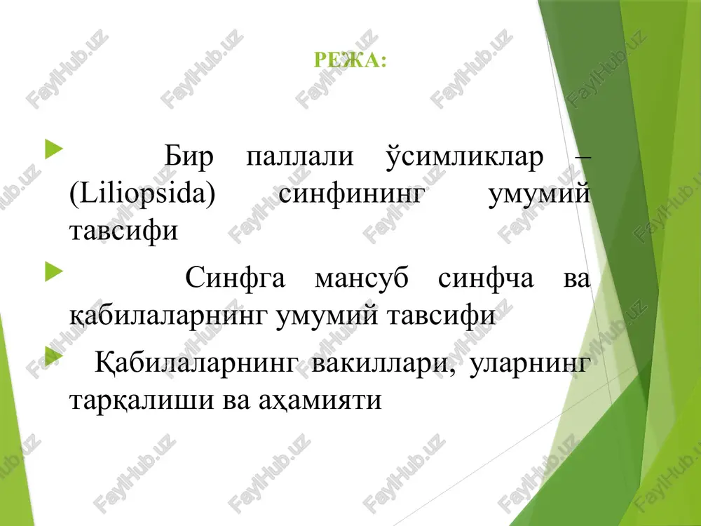otamogetonales 7- qabila. gulso'tanamolar-zosterales v-sinfcha. kuchalakabilar-aridae 1- qabila. kuchalanamolar-arales 2- qabila. igirnamolar-acorales 3- qabila. qo'g'anamolar-thyphales 1-sinfcha. lolakabilar-lilidae qabila. sarvinjonnamolar- colchicales oila. sarvinjondoshlar- colchicaceae dc. turkum. savrinjon- colchicum l. tur. sariq savrinjon- colchicum luteum baker oila. sarvinjondoshlar- colchicaceae dc. turkum. savrinjon- colchicum l. tur. sariq savrinjon- colchicum luteum baker ko'p yillik o'simlik. tuganakpiyozi tuxumsimon cho'ziq. barglari 2 - 3 ta, qalami. gullari 1 (3) ta, sariq. ko'sagining uzunligi 2 - 3,5 sm, keng cho'ziq. mart oyining ohiri iyul oyida gullaydi, aprel - avgustda mevasi pishadi. toshkent, farg'ona, samarqand, buxoroda uchraydi. tog' mintaqasidagi toshli yonbag'irlarda o'sadi. qabila. lolanamolar-liliales oila. loladoshlar-liliaceae juss. turkum. lola -tulipa l. tur. korolkov lolasi -tulipa korolkovii regel bo'yi 10 - 20 sm li ko'p yillik o't o'simlik. barglari 3 ta, jingalak. tojbargi qizil, sariq. sirtqi tojbargi rombsimon yoki teskari tuxumsimon; ichkisi teskari uchburchakli. tog' etaklaridagi qumloq yoki toshloq erlarda o'sadi. toshkent viloyatida uchraydi. qabila. lolanamolar-liliales oila. loladoshlar-liliaceae turkum. …