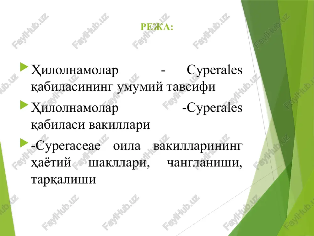 uzilasi-luzula sylvatica dc. bo'yi 70 sm li o'simlik. barglari deyarli yassi, etli, yaltiroq, eni 7-18 mm, poyaning yuqori qismidagilari kichrayib boradi. gullari jigarrang, ro'vaksimon to'pgulga yig'ilgan. may - iyun oylarida gullaydi. 4- qabila. hilolnamolar-cyperales qabila bitta oilani o'z ichiga oladi. oilaga 100 ta turkumga mansub 4000 tur kiradi. ular er yuzida keng tarqalgan. o'zbekistonda 16 ta turkumga oid 90 turi o'sadi. oilaga ko'p yillik ildizpoyali o'tlar kiradi. gullari mayda, ko'rimsiz, ikki jinsli, boshoqchalarda o'rnashgan. shamol yordamida changlanadi. qabila.hilolnamolar -cyperales oila. hiloldoshlar-cyperaceae turkum. salomalaykum-cyperus l. tur. salomalaykum - cyperus rotundus l. ko'p yillik o'simlik, bo'yi 10 - 50 sm. poyasi uch qirrali, silliq. barglari poyaga nisbatan qisqa. to'pguli 5 - 10 sm. respublikamizning barcha sug'oriladigan ekinlari orasida begona o't sifatida uchraydi. qabila.hilolnamolar -cyperales oila. hiloldoshlar-cyperaceae turkum. qiyoq-scirpus l. tur. yakansimon qiyoq-scirpus juncoides roxb. bir yillik o'simlik. poyasi 5 - 25 sm, ingichka, uch qirrali. mevasi yassi qavariq, deyarli silliq. cho'l va …
