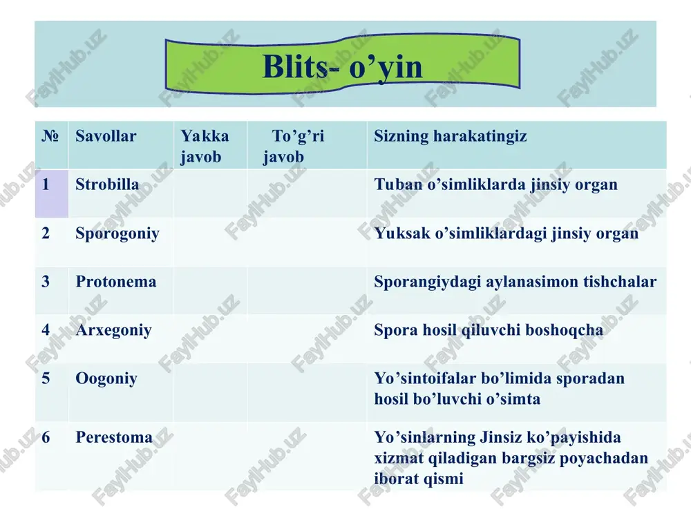 langan. plauntoifa - lycopodiophyta o’simliklar plauntoifa — lycopodiophyta o’simliklar. bu bo’limga kiruvchi o’simliklarning 1000 dan ortiq turi ma'lum. ularning barglari poyada mayda, ya'ni mikrofiliya bo’lib joylashganligi bilan xarakterlanadi. plaunsimonlarning hayotiy rivojlanish davri yo’sinsimonlardan farq qilib, nasllar gallanishida jinssiz nasl (sporofit)jinsiy nasl (gametofit)ga nisbatan ustunlik qiladi. tanasi poya, barg va ildizga ajralgan. ularga xos xususiyatlardan yana biri poyasi dixatomik ravishda shoxlangan. sporangiyalari poya uchida hosil bo’lgan barglaming barg qo’ltiqlarida (yoki bargning pastki yuza tomonida) hosil bo’lib, ular spora hosil qiluvchi barglar yoki sporofillar deb ataladi. plauntoifa — lycopodiophyta plaunsimonlar -lycopodiopsida polushniksimonlar -isoltopsida plaunnamolar -lycopodiales selaginellanamolar-selaginellales polushniknamolar-isoltales lepidodendronnamolar -lepidodendrales plaunnamolar-lycopodiales qabilasiga plaunnamolar-lycopodiales qabilasiga kiruvchi o’simliklar ko’p yillik o’t o’simliklardir, barglari mayda kipriksimon, sporangiylari sporafillarining asosida joylashgan. qabilaning bizgacha faqat bitta plaundoshlar (lycopodiaceae) oilasining vakillari etib kelgan. plaundoshlar oilasiga 4 ta turkum kiradi. plaun lycopodium turkumiga 200 dan ortiq tur kiradi. ular tropik zonadan to tundragacha tarqalgan. o’rta osiyoda esa tog’li hududlarda uchraydi. …