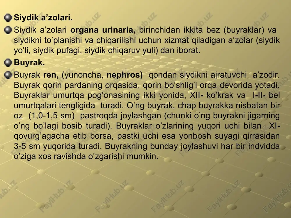 yragida bunday tuzilishning alomatlari qoladi. kattalarda buyrakning tashqi ko’rinishida bo’lakchalardan tuzilganligi bilinmasada, ichki tuzilishida saqlanib qoladi. buyrak murakkab ekskretor a’zodir. buyrak naychalardan iborat bo’lib, tubuli renalis deyiladi. bu naychalarning berk uchlari ikki qavatli devorli kapsuladan iborat bo’lib, qontomirlar kalavasini (to’pchasi) o’z ichida qamrab oladi. har bir qontomir to’pchasi glomerulus, chuqur kosa shaklidagi kapsula capsula glomeruli (shumlyanskiy-baumen kapsulasi) da joylashadi. kapsula ikki qavatdan iborat ekan, ular oralig’ida bo’shliq, kapsula bo’shlig’i deyiladi va siydik naychalari shu joydan boshlanadi. qontomir to’pchasi kapsula bilan birgalikda buyrak tanachasi (malpigiy) corpusculus renis deb ataladi. buyrak tanachasi buyrak po’stloq moddasining pars convaluta sida joylashadi. buyrak tanachalari ko’zga qizil nuqtachalar shaklida ko’rinishi mumkin. buyrak tanachasidan proksimal egri-bugri naycha tubulis renalis contortis proximalis boshlanadi va u pars radiate da joylashadi. so’ngra bu naycha buyrak piramidasiga tushadi va nefron sirtmog’ini ansa nephroni (henle) ni hosil qiladi. nefron sirtmog’i yana po’stloq moddaga ko’tarilib ikkilamchi, distal egri-bugri naycha tubulis renalis contortis distalis …