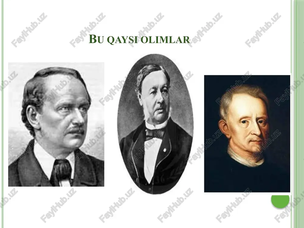 mida namgarchilikning kamayishi bilan yon ildizlar tuproq ostki qismiga kirib boradi.yon ildizlar o’z navbatida shoxlanib, birinchi tartib ildizini chiqaradi. deyarli barcha o’simliklarda qo’shimcha ildizlar endogen yo’li bilan peretsikldan, qariroq poyalarda esa ikkilamchi floyemadan rivojlanadi.bu ildizlar poyadan, hattoki bargdan hosil bo’ladi.ildizlar tashqi ko’rinishidan ham bir biridan farq qiladi. ildizning kelib chiqishi popuk ildiz o’q ildiz ildizning tuzilishi ildiz qini yon ildiz o’suvchi qismi bo’linuvchi qismi ildiz tukchalari shimuvchi qismi yog’ochlik naylari po’st epiblema ildizlar bajaradigan funksiyalariga qarab har xil to’qimalardan tashkil topgan bo’lib, bu to’qimalar ildiz uchidan boshlab ma’lum tartibda joylashgan. agar yosh ildiz uzunasiga kesib qaralsa, unda bir biridan aniq farq qiladigan 5 ta zonani ko’rish mumkin. bular quyidagilar: 1. ildiz qinchasi – o’suvchi hujayralarni tashqi tomondan qoplab turadi va ularning tashqi hujayralari tez nobud bo’lib, yemirilgan sayin o’rnini yangi hujayralar to’ldirib boradi. ildiz qinining ustida uning o’sish nuqtasi ya’ni konusi joylashgan. o’sish konusining hujayralari bir xil meristema hujayralardan iborat. …