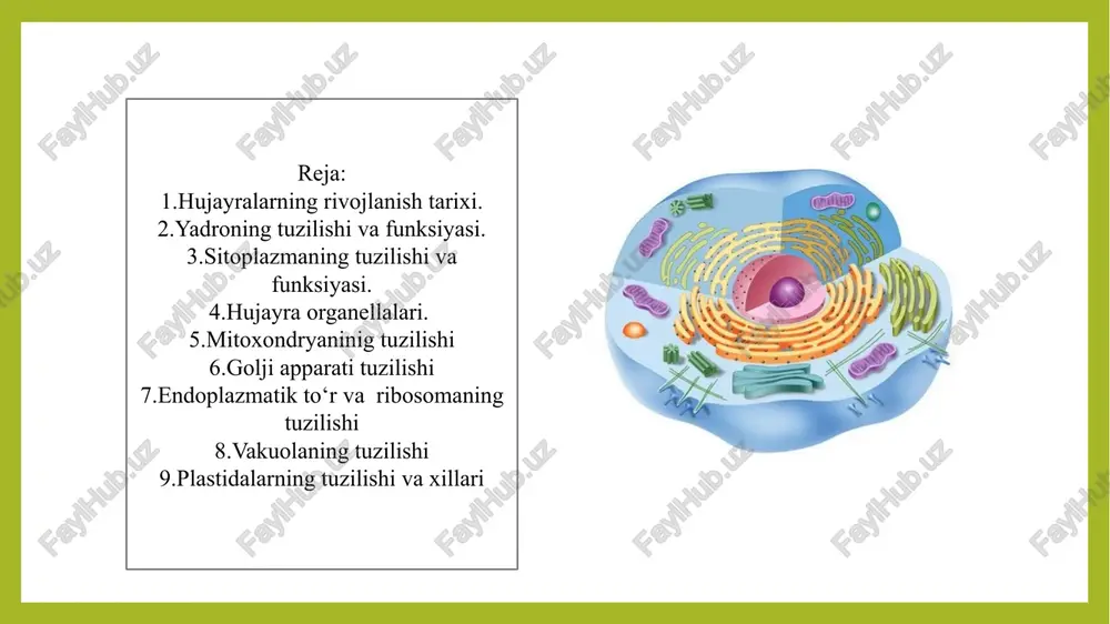 xborot nasldan-naslga o‘tadi. yadroning tuzilishi: 1.yadro membranasi (qobig‘i): ikki qatlamli, hujayra sitoplazmasidan yadroni ajratib turadi. unda yadroning ichki va tashqi muhit bilan moddalar almashinuvi uchun poralar (teshiklar) mavjud. 2yadro plazmasi (karyoplazma yoki nukleoplazma): yadroning ichki suyuqligi. unda organik va noorganik moddalar, fermentlar bo‘ladi. 3.xromatin modda: bu dnk va oqsillardan tashkil topgan tuzilma bo‘lib, yadro ichida tarqalgan holatda bo‘ladi. hujayra bo‘linishi vaqtida bu modda xromosomalarga aylanishi mumkin. 4.yadrochaning (nukleolus) bo‘lishi: bu – yadro ichidagi kichik organoid bo‘lib, ribosomalar ishlab chiqilishida ishtirok etadi. yadro qobig‘i (membranasi) ikki qatlamli tuzilishga ega: tashqi va ichki membrana. tashqi membrana ba’zan endoplazmatik to‘r (et) bilan birikkan bo‘ladi. yadro poralari (teshikchalar): membranada mavjud bo‘lib, ular orqali moddalar (masalan, rnk, oqsillar) yadrogacha kiradi yoki undan chiqadi. vazifasi: yadro ichidagi moddalarni sitoplazmadan ajratadi va moddalar almashinuvini tartibga solad yadro plazmasi (karyoplazma yoki nukleoplazma) yadro ichini to‘ldiruvchi suyuqlik. suyuqlik tarkibida: fermentlar, ionlar, nukleotidlar va boshqa biokimyoviy moddalar mavjud. bu muhitda …