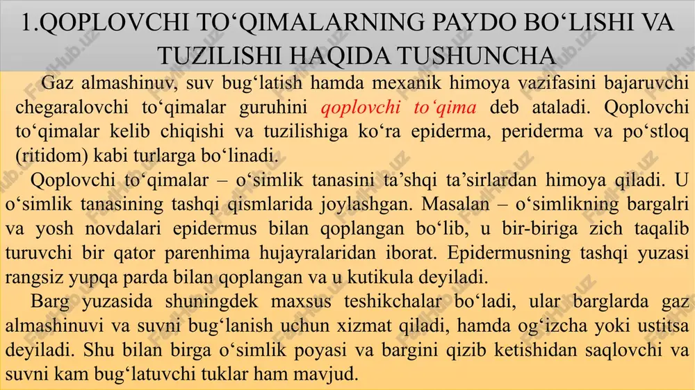 chi yug‘olashish xususiyati bo‘lmagan organlarning umri davomida saqlanadi. bazi osimliklarda uzoq yashuvchi bir palali ikkilamchi yug‘nolashmaydigan o‘simlklarda epidrmisning urnini po‘kak to‘qimasi egallaydi. epidermisni davomiyligi ikkilamchi yug‘nolashadigan organlarni o‘sishida o‘zgaradi; qoydaga binoan poya va ildizda epidermisni o‘rnini periderma osimlikning birinchi yilida egallaydi, masalan acer striatum da periderma faqat bir necha yildan keyin ikkilamchi organlarning osishida egallaydi ( de barri, 1877). bu holatda epidermalniy hujayralar tangential bo‘linib ko‘payadi. 3. periderma ko‘p yillik o‘simliklarning birinchi yilgi vegetatsiyasi oxirida ildiz va poyalardagi epiderma ikkilamchi ko‘p qavatli chegaralovchilari to‘qima periderma bilan almashinadi. periderma bir necha turdagi hujayralardan: po‘kak fellogen va fellodermadan tashkil topgan. unda hujayrani tashqi muhit bilan bog‘lovchi yasmiqchalar joylashgan. po‘stloq. ko‘pgina daraxtlarning asosiy tanasidagi peridermasi po‘stloq bilan almashinadi. u periderma qavatlari va o‘lik to‘qimalar yig‘indisidan iborat. qalin qavatli po‘stloq daraxt tanasini har xil noqulay tashqi ta’sirlardan saqlaydi. o‘simliklarning qattiq mevalarida sklereidlar bo‘ladi (masalan, shaftoli, o‘rik, olxo‘ri danagidagi tosh hujayralar). asosiy to‘qimalar o‘simlik tanasining …
