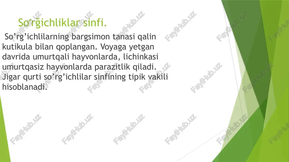 qadi. ular suv shilligining tanasiga kirib oladi va kiprikchala rini tashlab, yangi lichinkalarni hosil qiladi. keyinchalik lichinkalarda dum paydo bo’lib, ular suvga chiqadi. lichinkalar suvda dumini tashlab yumaloqlanadi va qalin qobiqqa o’ralib, sistaga aylanadi. suv yoki oziq bilan hayvonlar ichagiga tushgan sista dan lichinka chiqadi. lichinka qon orqali jigarga boradi va o’t yo’llariga yopishib olib parazitlik qiladi.jigar qurti voyaga yetgan davrida parazitlik qiladigan odam va sutemizuvchi hayvonlar uning asosiy xo’jayini, lichinkasi parazitlik qiladigan suv shillig’i oraliq xo’jayini hisoblanadi. jinsiy sistemasi,koʻpayishi va rivojlanishi . . jinsiy organlari tana sining hamma bo’g’imlarida ko’p marta takrorlanib turadi. har bir bo’g’imda bir juft tuxumdon. bitta bachadon va juda ko’p urug’donlar boʻladi. bachadoni tuxumlarga to’lgach, bir necha bo’g’imlari tananing keyingi qismidan uzilib, ichak bo’shlig’iga tushadi va axlat bilan tashqi muhitga chiqib ketadi. tuxumlari yem-xashak yoki suv orqali qoramollarga yugad (20rasm), tuxumdan chiqqan lichinkalar ichak devori orqali gonga o’tadi va qon orqali jigar, muskul va boshqa …
