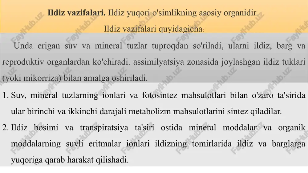 a’minlaydigan maxsus organ — ildizning paydo bo’lishi bu organlarning ixtisoslashuviga va to’qimalarni kelib chiqishiga sababchi bulgan. ildiz tukchalari tuprokdan suv va erigan mineral tuzlarni shimib olish vazifasini bajaradi. bunday hujayralar rizoderma to’qimasini hosil qiladi va shu to’qimalar so’rish zonasining yuzasini kattalashtirib boradi. tuproq qatlamlarini teshib o’tishda apikal meristemaning shikastlanishidan saqlaydigan ildiz g’ilofi yuzaga keladi. haqiqiy ildiz qirqquloqsimonlarda vujudga keladi, keyinchalik gulli o’simliklarda ildiz takomillashadi. ildizning rivojlanishi. ildiz boshlang’ichi urug’da joylashgan bo’ladi. urug’ unib o’sa boshlaganda dastlab uning ildizi po’stni yorib tashqariga chiqadi. bir pallali o’simlik urug’idan bir necha ildiz, ikki pallali o’simlik urug’idan faqat bitta ildiz chiqadi va taraqqi yotish davom ettirib, asosiy yoki o’q ildizga aylanadi. asosiy ildiz bilan poya o’rtasidagi chegara ildiz bo’yni deb ataladi. poyaning ildiz bo’ynidan birinchi murtak barglarigacha (urug’pallalargacha) bo’lgan qismi gipokotil (urug’pallaning osti) deb ataladi rivojlanish xususiyatiga qarab, asosiy yoki o’q ildiz va qo’shimcha ildizlar tafovut etiladi. murtakdan rivojlangan ildiz asosiy, poyadan yoki boshqa …