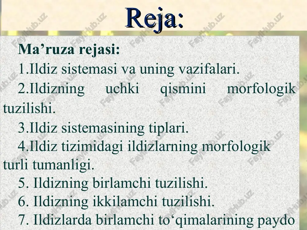 oziq moddalar to’planish natijasida shaklini o’zgartirib, tugunaklar hosil qilishidir. ildiz tugunaklarida kurtaklar bo’lmaydi. tayanch ildizlar tayanch ildizlar poyadan chiqqan qo’shimcha ildizlar bulib, uni tik tutib turishga yordam beradi. bunday ildizlarni ko’pincha kechpishar, baland bo’yli makkajo’xori, oqjo’xori o’simliklarning pastki bo’g’inlarida ko’rish mumkin. havoyi ildizlar havoyi ildizlar epifit (yunon. epi-ustidan, yuqoridan, fiton- o’simlik ) larda uchraydi. bunday ildizlar poyadan hosil bo’ladi va qo’shimcha ildizlar hisoblanadi. soyabondoshlar, kuchalaguldoshlar, ananasguldoshlar oilalariga mansub o’simliklar daraxtlarga chirmashib o’sadi, ammo parazitlik qilib yashamaydi, balki ulardan suyanchiq substrat sifatida foydalanadi. ularning havoyi ildizlari havoda muallaq osilib turadi va yomg’ir yoki shudring namidan foydalanishga imkon beradi. havoyi ildizlar xonalarda o’stiriladigan manzarali monstera o’simligini havoyi ildizlari pastga osilib o’sadi va erga tegib so’ngra unga kirib o’simlikka tayanch bo’ladi. nafas oluvchi ildizlar nafas oluvchi ildizlar tropik sharoitda, dengiz va okeanlarning botqoqli qirg’oqlarida o’sadigan daraxtlarda uchraydi. masalan: avisenniya o’simligida juda murakkab ildiz sistemasi shakllanadi, uning tarkibida yuqoriga vertikal o’sib chiqadigan nafas oluvchi …