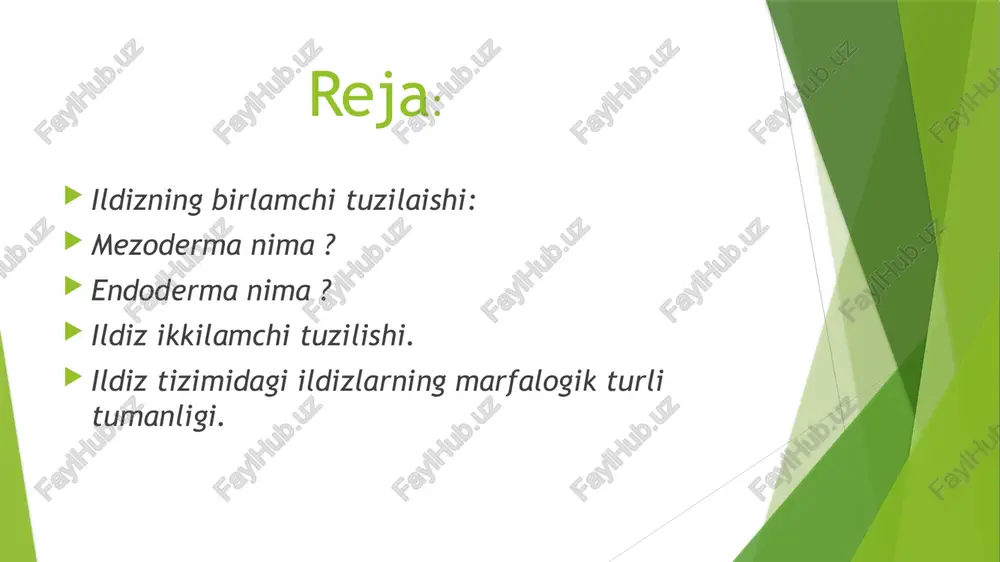 di. kaspari belbog’i suv va suvda erigan moddalari markaziy silindrga tanlab o’tkazadi endodermaning astray hujayralarining qobiqları qalinlashib yog’ochlanadi. lekin ular orasida bir xil hujayralar qobiqlari qalinlashmasdan o’tkazuvchanlik vazifasini bajaradi va o’tkazuvchi hujayralar deb ataladi . endoderma. markaziy silindr o’sish konusini ichki tomonidagi hujayralaridan pleromadan hosil bo’lib, tashqi tomonidan tirik hujayralardan tashkil topgan perisik! bilan o’ralgan. perisik! hujayralari bo’linib yon ildizlarni hosil qiladi. perisik tagidagi prokambiy joylashib, keyinchalik birlamchi o’tkazuvchi to’qimaga aylanadi. birlamchi o’tkazuvchi to’qimaning elaksimon naylari protofloyema va undan ichkariroqda markazga tomon metafloyemaning elementlari hosil bo’ladi so’ngra floema hujayralarini guruhlar bilan navbatlashib qobig’i xalqasimon va spiralsimon qalinlashgan protoksilema va markazga tomon qobig’i to’rsimon va nuqtasimon qalinlashgan metaksilema naylari hosil bo’ladi. yosh ildizlarda birlamchi o’tkazuvchi naylar yulduzsimon shaklda nurlar hosil qilib joylashadi. floyema bilan navbatlashib kelgan ksilema nurlari ikkita bo’lsa diarxli, uchta bo’lsa triarxli, to’rtta boʻlsa tetrardi, ko’p bo’lsa poliarxli tuzilishdagi markaziy silindr deyiladi ildizning ikkilamchi tuzilishi: ildizning ikkilamchi tuzilishi. ildizning …