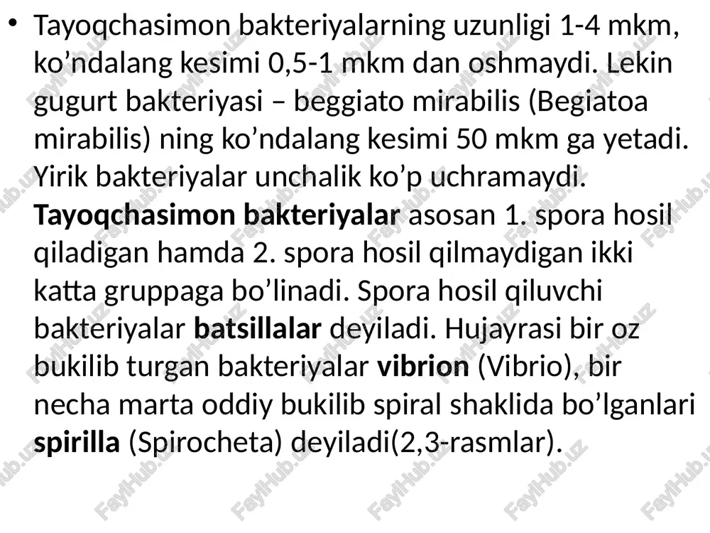 lot boshlashdan oldin va uni tugatgandan so’ng qo’lni sovunlab yuvish hamda boshqa sanitariya-gigiena qoidalarini bajarish zarur, aks holda ko’ngilsiz oqibatlar yuz berishi mumkin. mikroorganizmlarning shakli quyidagi mashg’ulotlar vaqtida o’rganiladi. i.1. tirik bakteriya hujayralarni mikroskopda kuzatish ishdan maqsad: tirik bakteriya hujayralarini mikroskopda kuzatish orqali ular haqida dastlabki tushunchalarga ega bolish. kerakli jihozlar: quruq pichan, tarozi, bitta katta va bir nechta kichik kolba, elektr plitka, oq bo’r, termostat. nazariy tushuncha: pichan batsillasining yaxshi rivojlanishi uchun aerob (kislorodli) sharoit bo’lishi lozim. bundan tashqari, bu batsilla geterotrof organizm bo’lganligi sababli uning rivojlanishi uchun yetarli miqdorda organik oziq ham talab etiladi. bu sharoitda ko’pchilik mikroorganizmlarning yashash va rivojlanish jarayoni ancha qulay bo’ladi. ishning borishi: 1 – bosqichda iflos suvni tayyorlash: 20-25 g quruq pichan maydalanadi. 2 – bosqichda pichan suvga solib botirib qo’yiladi. keyin maydalangan pichan 200 ml suv solingan idishga botiriladi. 3 – bosqichda idishdagi solingan pichan termostatga qo’yiladi. suvga solingan pichan 30οc li …