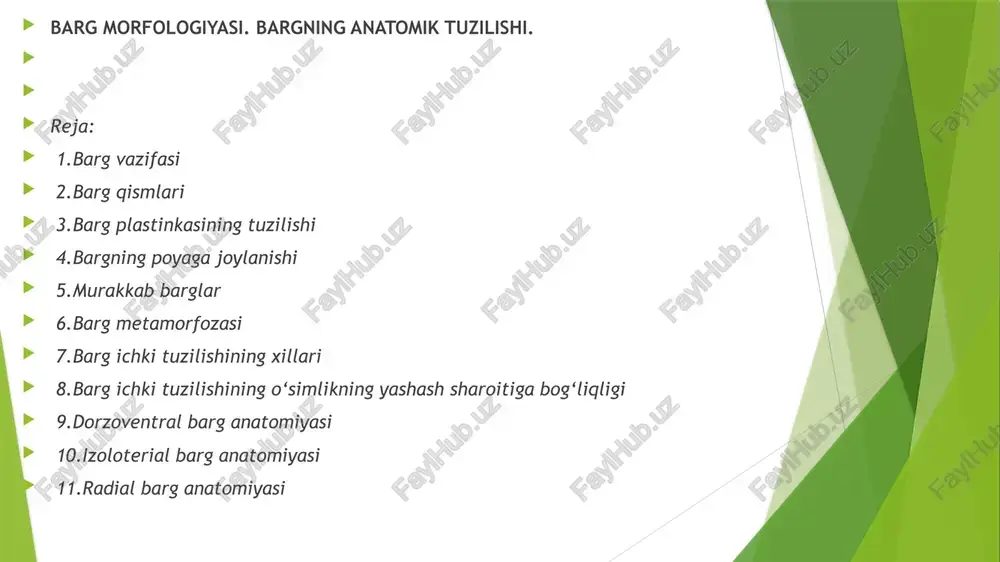 rg (rassechyonniy list) deyiladi. mas: pomidor, kartoshka. barg plastinkasining cheti tekis qirrali (selnokrayniy)yoki tishsimon (zubchatiy) arrasimon (pilchatiy) yoki o‘yiqsimon (gorodchatiy) bo‘lishi mumkin. barg plastinkasi har xil shaklda:ninasimon, chiziqsimon, lansetsimon, yuraksimon, buyraksimon, tuxumsimon, nayzasimon, strelkasimon va boshqa bo‘lishi mumkin. barg plastinkasi har xil kattalikda bo‘ladi. mas: gruziyada o‘suvchi pterium barg nixoyat darajada katta bo‘ladi. odam bemalol ko‘rpa qilib ustiga yopsa bo‘ladi. barg poyaga xar xil ravishda o‘rnashadi. ba’zi o‘simliklarning bargi poyada ketma-ket (ocherdnoy, spiralniy) mas: tol, terak barglari. barg poyada qarama-qarshi(suprotinniy) o‘rnashgan mas: labsimongullilar oilasiga kiradigan o‘simliklar, yalpiz, shalfey. ba’zi o‘simliklarning bargi poyada xalqasimon ravishda (mutovchatiy)joylashgan. sambitgul o‘simligining bargi 3 tasi 1 ta joydan. bargning asosiy bandi bo‘lib, shu asosiy bandga bir nechta bargchalar o‘zlarining bandchalari bilan joylashgan bo‘lsa, murakkab barg (slojniy list) deyiladi. murakkab barglar bir necha xil bo‘ladi: 1. 3 plastinkali murakkab barg (troychatoslojniy list) mas: qulupnay, bedananing bargi. 2. toq patli murakkab barg.(neparnoperistoslojniy list) mas: na’matak, yong‘oq, akatsiya …