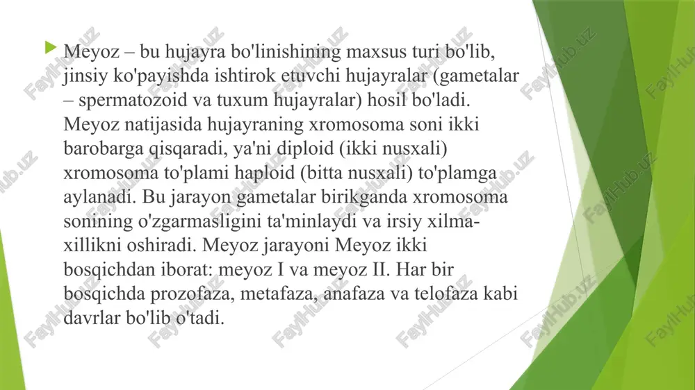oni barqaror qoladi. jinsiy ko'payish: meyoz tufayli hayvonlar, o'simliklar va boshqa eukariot organizmlar jinsiy yo'l bilan ko'payishi va genetik xilma-xillikni oshirishi mumkin. shunday qilib, meyoz biologik xilma-xillik va populyatsiyalar o'rtasidagi genetik o'zgaruvchanlik uchun muhim jarayondir. eukariotlar (yoki eukaryotlar) – yadroli organizmlar bo'lib, ularning hujayralari membrana bilan o'ralgan yadro va boshqa murakkab organellalarga ega. eukariotlar qatoriga hayvonlar, o'simliklar, zamburug'lar va protistlar kiradi. ularning asosiy xususiyatlari: 1. hujayra yadrosi: eukariotlar hujayrasida genetik material (dnk) maxsus membrana bilan o'ralgan yadroning ichida joylashgan. bu prokariotlardan asosiy farqi hisoblanadi, chunki prokariotlarda (masalan, bakteriyalarda) dnk erkin holatda hujayrada tarqalgan bo'ladi. organellalar: eukariotlar hujayrasida turli organellalar mavjud, masalan, mitoxondriya (energiya ishlab chiqarish uchun), xloroplastlar (fotosintez uchun, faqat o'simliklarda) va endoplazmatik to'r (moddalarni tashish uchun). bu organellalar maxsus membrana bilan o'ralgan bo'lib, ularning hujayrada alohida vazifalarni bajarishiga imkon beradi. 3. ko'p hujayrali tuzilma: ko'pgina eukariotlar ko'p hujayrali organizmlardan iborat, masalan, o'simliklar va hayvonlar. ular murakkab tizim va organlardan …
