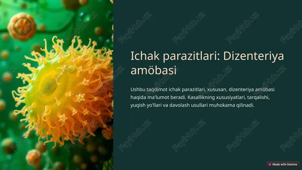 ik tekshirish va immunologik testlar qo'llaniladi. ba'zida biopsiya ham olinishi mumkin. najasni tekshirish amöba kistalarini aniqlash. immunologik testlar antigenlarni aniqlash. biopsiya ichak to'qimasini tekshirish. 7 7 7 davolash usullari va profilaktika choralari dizenteriya amöbasi bilan kasallangan bemorlarni davolash uchun metronidazol va tinidazol kabi dorilar qo'llaniladi. profilaktika choralari sanitariya qoidalariga rioya qilishni o'z ichiga oladi. dorilar metronidazol va tinidazol. sanitariya gigiena qoidalariga rioya qilish. suvni tozalash xavfsiz suvdan foydalanish. 8 8 8 murakkablashuvi va oqibatlari dizenteriya amöbasi jiddiy murakkabliklarga olib kelishi mumkin. bularga ichak perforatsiyasi, qon ketishi va jigar abstsesslari kiradi. o'z vaqtida davolash zarur. ichak perforatsiyasi qon ketishi jigar abstsesslari 9 9 9 kasallikning oldini olish bo'yicha tavsiyalar kasallikning oldini olish uchun shaxsiy gigiena qoidalariga rioya qilish, suvni tozalash va oziq-ovqat xavfsizligini ta'minlash kerak. sog'lom turmush tarzini olib borish ham muhim. 1 qo'llarni yuvish ovqatdan oldin va keyin. 2 suvni tozalash qaynatish yoki filtrlash. 3 oziq-ovqat xavfsizligi to'g'ri saqlash va …