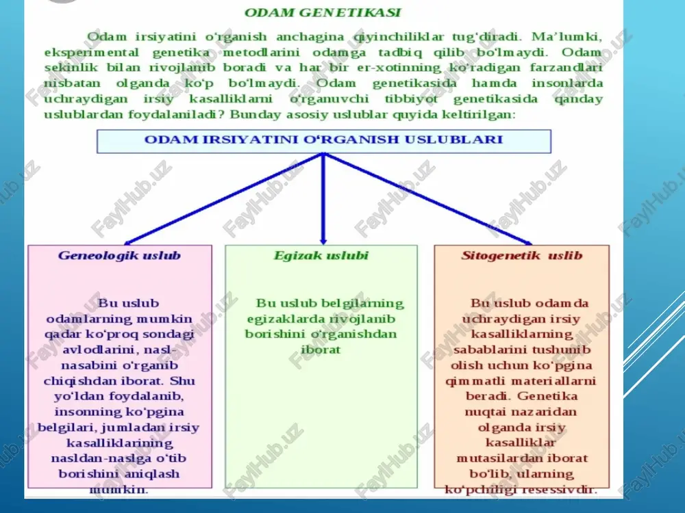 ari odam genetikasi insoniyat uchun amaliy jihatdan g'oyat katta ahamiyatga ega bo'lgani uchun so'nggi yillarda unga qiziqish ayniqsa, ortdi. hozirgi vaqtda odamda 4000 ga yaqin normal va patologik belgilarning nasldan-naslga o'tib borishi bir qadar o'rganib chiqilgan. irsiy omillarga bog'liq kasalliklar borligi aniqlangan. ana shu kasalliklarni to'g'ri aniqlash, ularga yo'l qo'ymaslik va da-volash muhimdir. odamni genetik yo'l bilan tekshirish usullari ishlab chiqil-ganidan keyin ana shu muvaffaqiyatlarni qo'lga kiritish mumkin bo'ldi. odam irsiyatini o'rganish usullari. odam irsiyatini o'rganish anchagina qiyinchiliklar tug'diradi. ma'lumki, eksperimental genetika usullarini odamga tatbiq etib bo'lmaydi. odam sekinlik bilan rivojlanib, ancha keen balog'atga etadi. bir oilaning ko'radigan farzandlari soni nisbatan kam bo'ladi. sunday hollar odam irsiyatini o'rganishga qiyinchilik tug'diradi. odam genetikasini o'rganishda quyidagi asosiy: geneologik, egizaklar, sitogenetik, biokimyoviy, populyatsion, ontogenetik usullardan foydalaniladi. endi bu usullarning ta'rifiga qisqacha to'xtalib o'tamiz. geneologik usul mumkin qadar ko'proq odamlarning nasl-nasabini o'rganib chiqishdan iborat. shundan foydalanib, insonning ko'pgina belgi-lari, jumladan irsiy kasalliklarining nasldan-naslga o'tib …