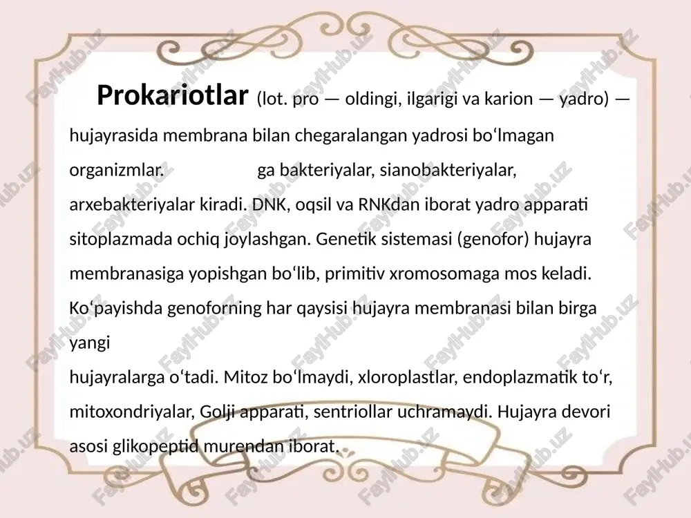 prokariotlar va eukariotlar - Page 2