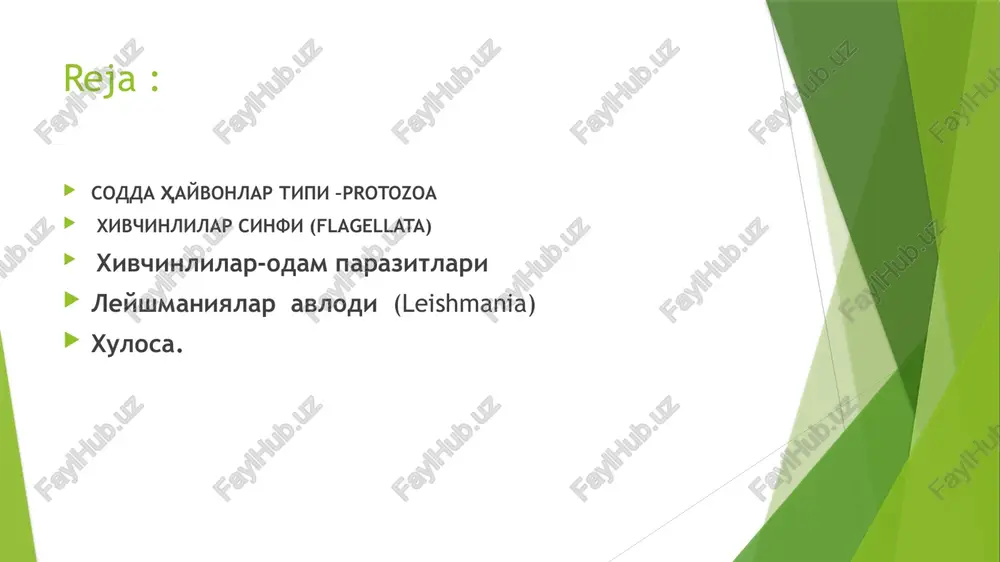 i tezda ortadi. sporongiya spora hosil qilib ko'payish sodda hayvonlarning sporalilar sinfi vakillarida uchraydi. sporalar bilan ko'payish moslashish jixatidan katta axamiyatga ega, chunki ular juda kichkina bo'lganligi tufayli ko'p miqdorda hosil bo'ladi va juda tezlik bilan ko'payish imkonini yaratadi. bundan tashqari, sporaning nozik pardasi tashqi muhit sharoitlariga chidamli bo'ladi. spora hosil qilish o'simliklar dunyosida keng tarqalgan. 5 xivchinlilar sinfi (flagellata) xivchinlilar sinfi vakillari hayvonlarni o'simliklar dunyosi bilan bog'lab turuvchi eng qadimgi guruhdir. xivchinlilarning ba'zilari (masalan, evglenasimonlar va fitomonadalar) yashil suv o'tlariga juda ham o'xshay-dilar. xivchinlilarga xos bo'lgan umumiy xususiyatlardan biri ularning o'zlarida bitta yoki bir nechta xivchin tutishidir. xivchinlar harakat organoidlari hisoblanib ular bazal tanachadan o'sib chiqadi. xivchin ingich-ka ipsimon yoki lentasimon ko'rinishda bo'lib protaplazmani o'simtasi hisoblanadi. elektron mikroskopda tekshirilganda xivchinlar murakkab tuzilishga ega ekanligi aniqlangan, ko'ndalang kesimida xivchin qobiq bilan o'ralgan bu qobiq protaplazmaning qobig'ning davomidir. xivchin matriks- idagi 9 juft periferik va 1 juft markaziy fibrillalar bo'lib, ular …