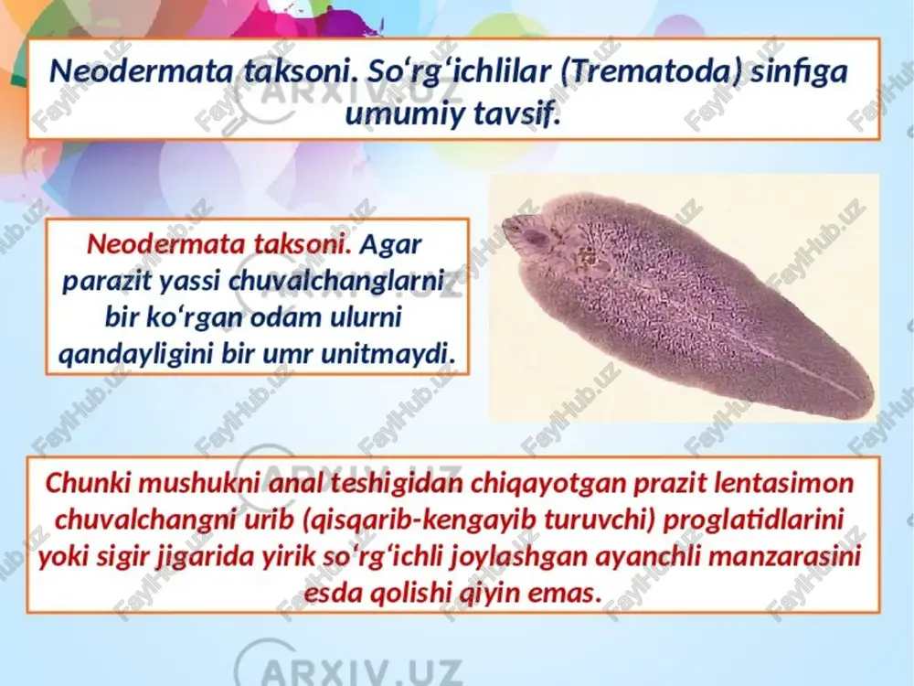 so‘rg‘ichlilarning bargsimon tanasi - Page 2