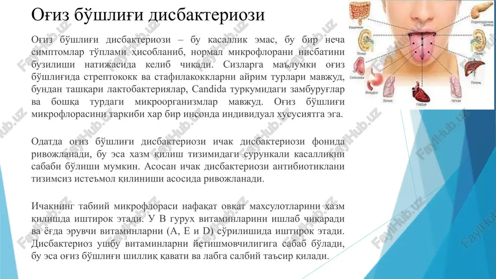 shi bilan kechadi. dekompensirlangan disbakterioz gipovitaminozdagi o'zgarishlar, milk va til soxasida yallig'lanish belgilari bilan kechadi. natijada bemorlarda stomatit, parodontit va i parodontozlar yuzaga keladi. ularni davolmasa bemorlarda tishni qimirlab qolishi va tushishi kuzatiladi. burun xalqumda yallig'lanish xam uchrashi mumkin. ushbu vaqtda shartli patogen va patogen mikroflora keskin oshishi, normal mikroflora esa yo'q bo'lib ketishi kuzatiladi. og'iz bo'shlig'i disbakteriozi darajalari disbakteriozning birinchi darajasi bu disbiotik siljish. bu shartli patogen mikroorganizmlarning bir turini oshishi bilan kuzatiladi. klinik simptomlar bu etapda kuzatilmaydi. og'iz bo'shlig'i disbakteriozining 1-2 bosqichlarda patogen mikroorganizmlarni paydo bo'lishi va laktobakteriyalarni soni keskin pasayishi kuzatiladi. og'iz bo'shlig'i disbakteriozining 3 bosqichida laktobakteriyalar soni keskin pasaygan yoki yo'q bo'lishi xam mumkin, ularni o'rnini patogen mikroflora egallaydi. 4 bosqichda yuqorida aytilgan o'zgarishlardan tashqari drojjasimon zamburug'larni sonini oshishi kuzatiladi. 3-4 bosqichda bemorlarda kasallanish simptomlari yaqqol kuzatiladi. og'iz bo'shlig'i shilliq qavati kandidozi oxirgi yillarda kandidoz bilan kasallanish ortib bormoqda. bu asosan, davolash amaliyotida antibiotiklar va immunode- …